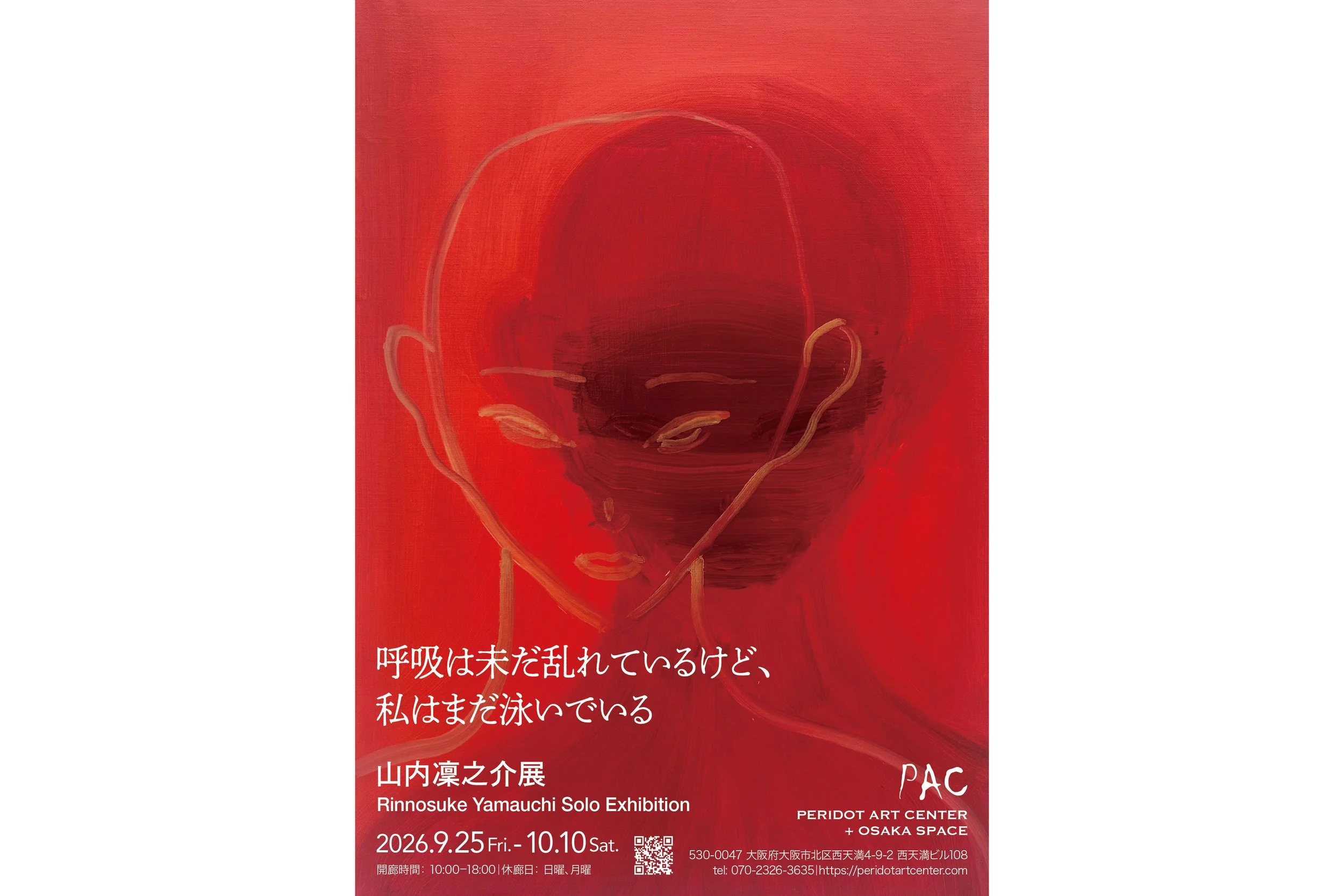 山内 凜之介展「呼吸は未だ乱れているけど、私はまだ泳いでいる」