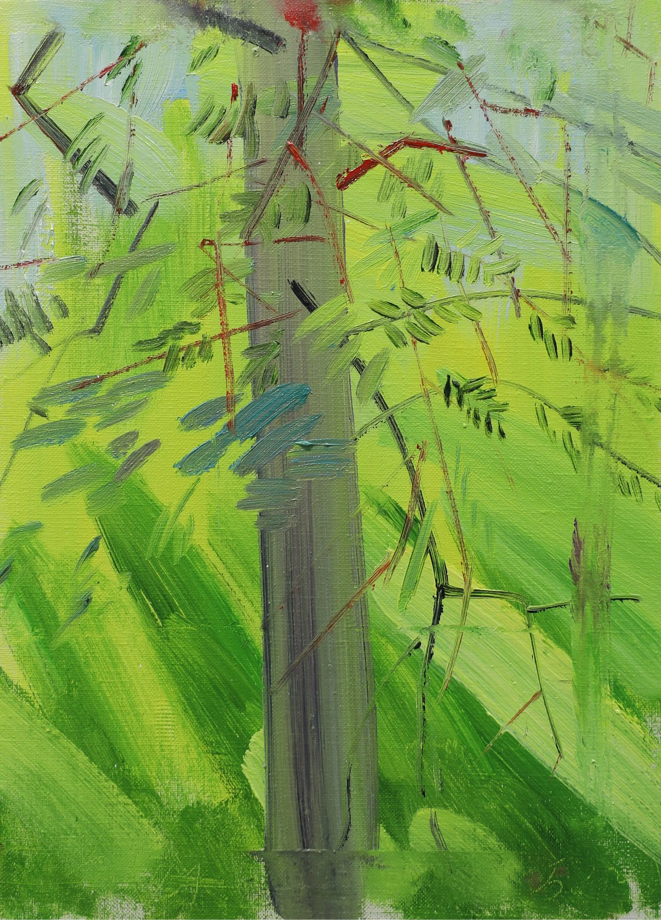 大泉公園-Ⅰ（価格はお問い合わせください）