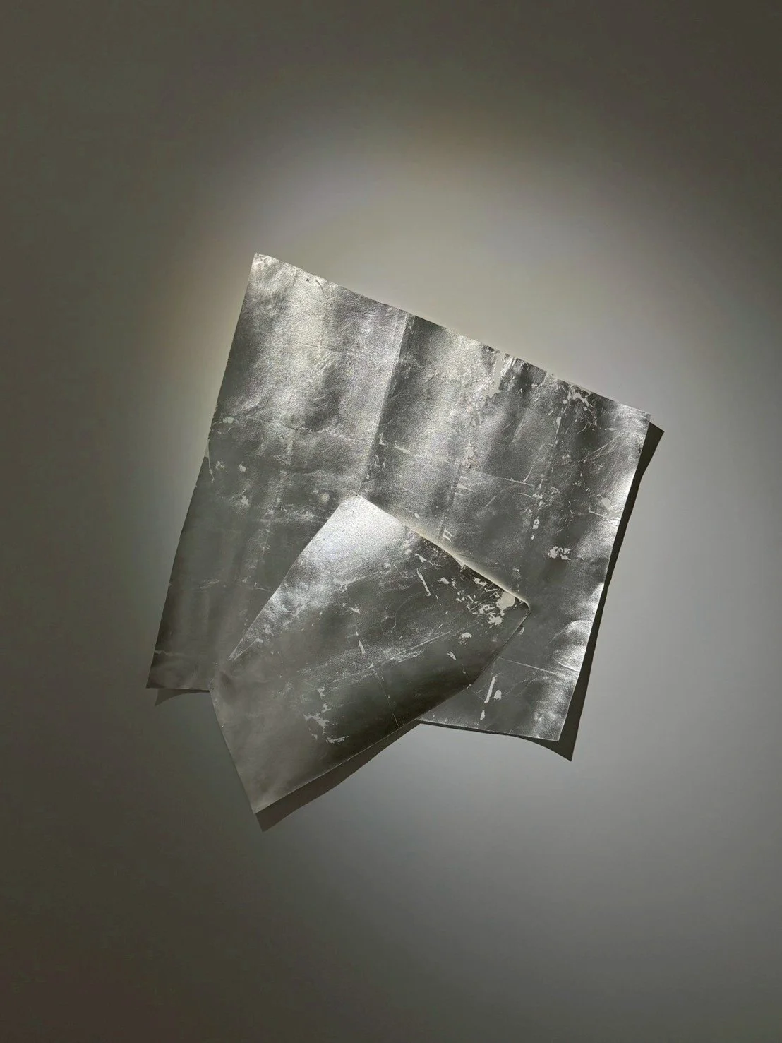 LINE_ALBUM_©️Youngdae SONG_260305_22.jpg