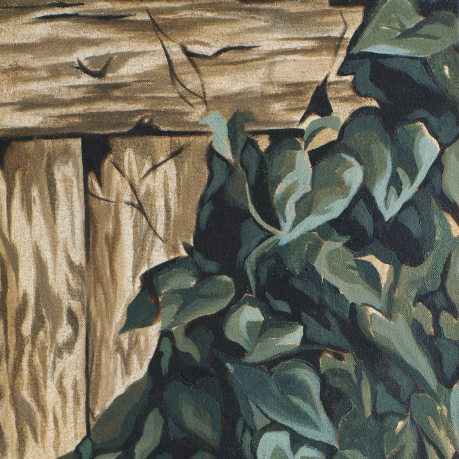 Morning Glory (The Drag)