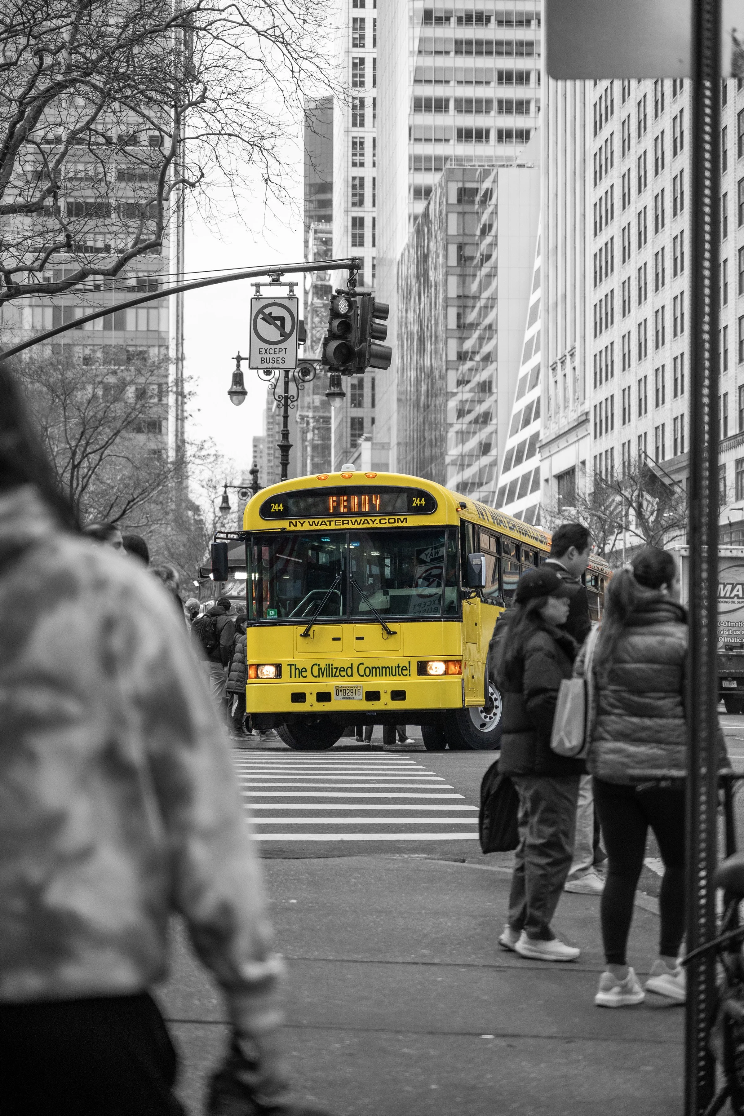 Yellow Bus