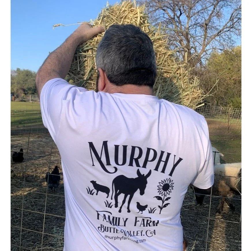 Untitled design (8).jpg