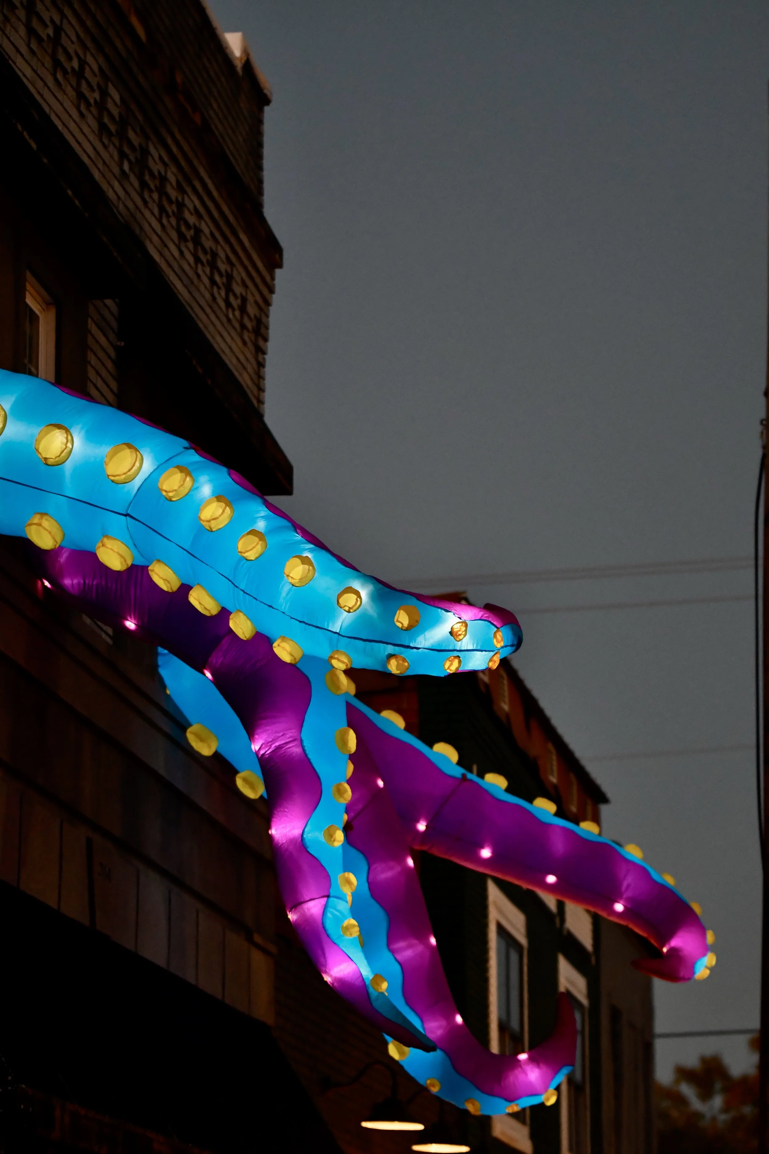 _DSC6348.jpeg