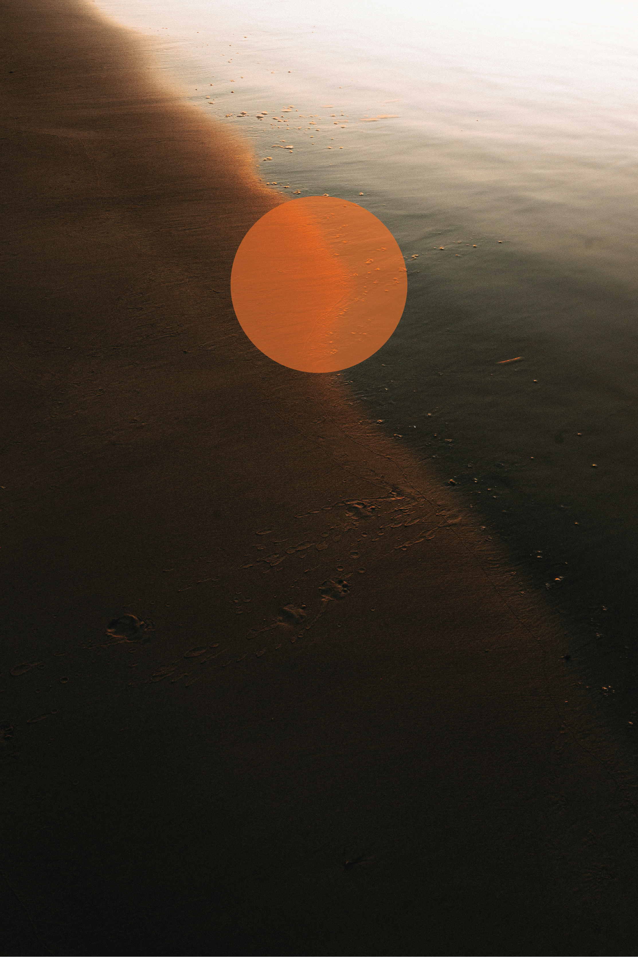 De Overheid als Waterkant