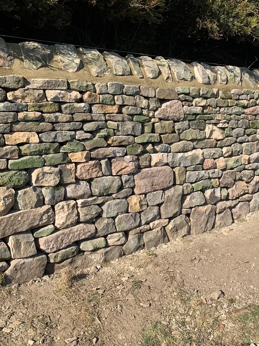 A dry stone retaining wall made of irregularly shaped rocks stacked on top of each other, with soil and dirt at its base and trees in the background.