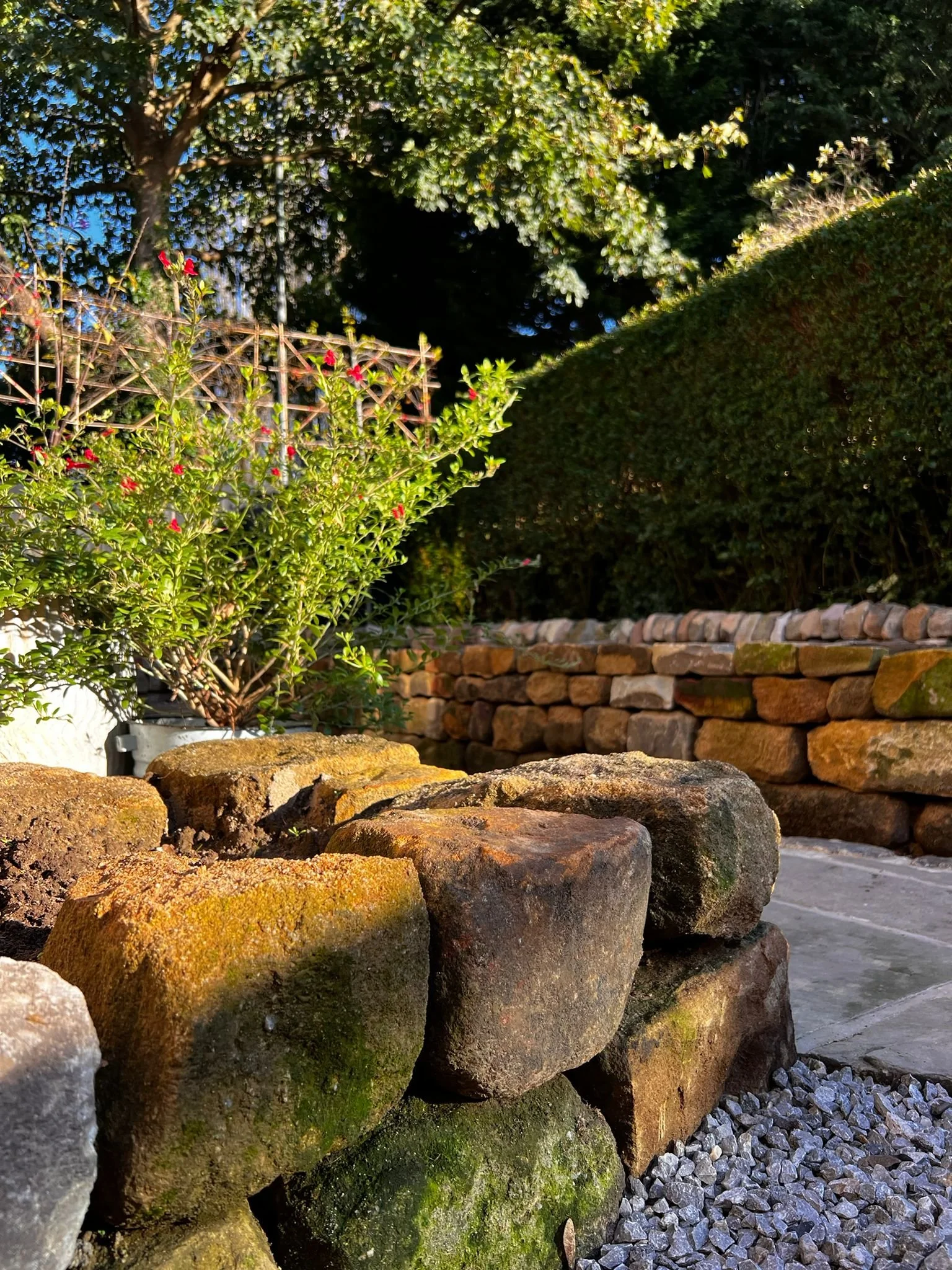 Close-up of moss-covered rocks in a garden, with a hydrangea bush with red flowers, a brick wall, neatly trimmed hedge, and trees in the background under natural sunlight.