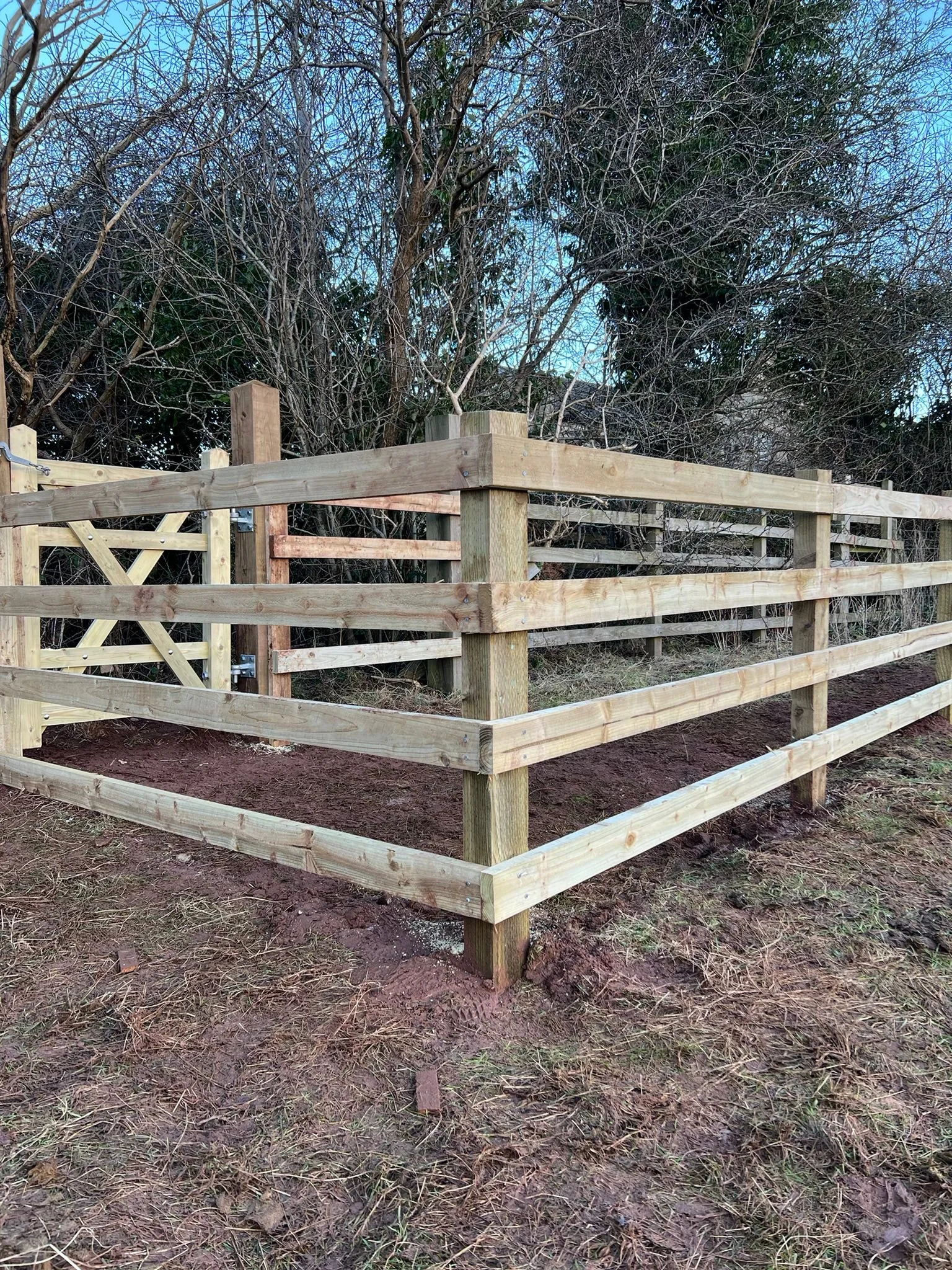 New wooden fence with horizontal rails and a gate, installed on a patch of dirt, with leafless trees and bushes in the background under a blue sky.