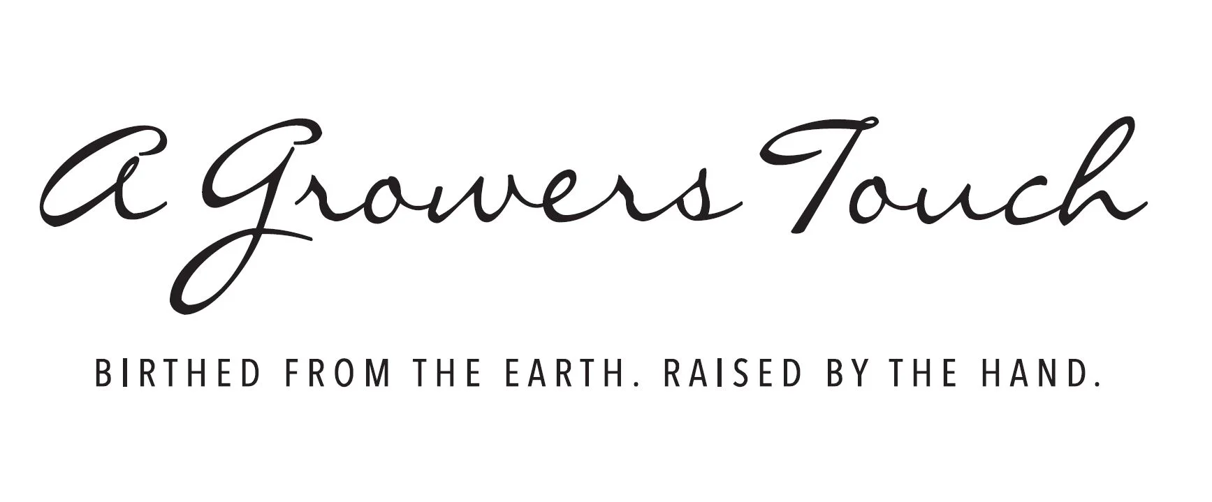GT Large Logo.JPG