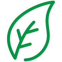 Dibujo de una hoja verde con una línea central y una rama pequeña representa la sostenibilidad de los productos de Qipakana.