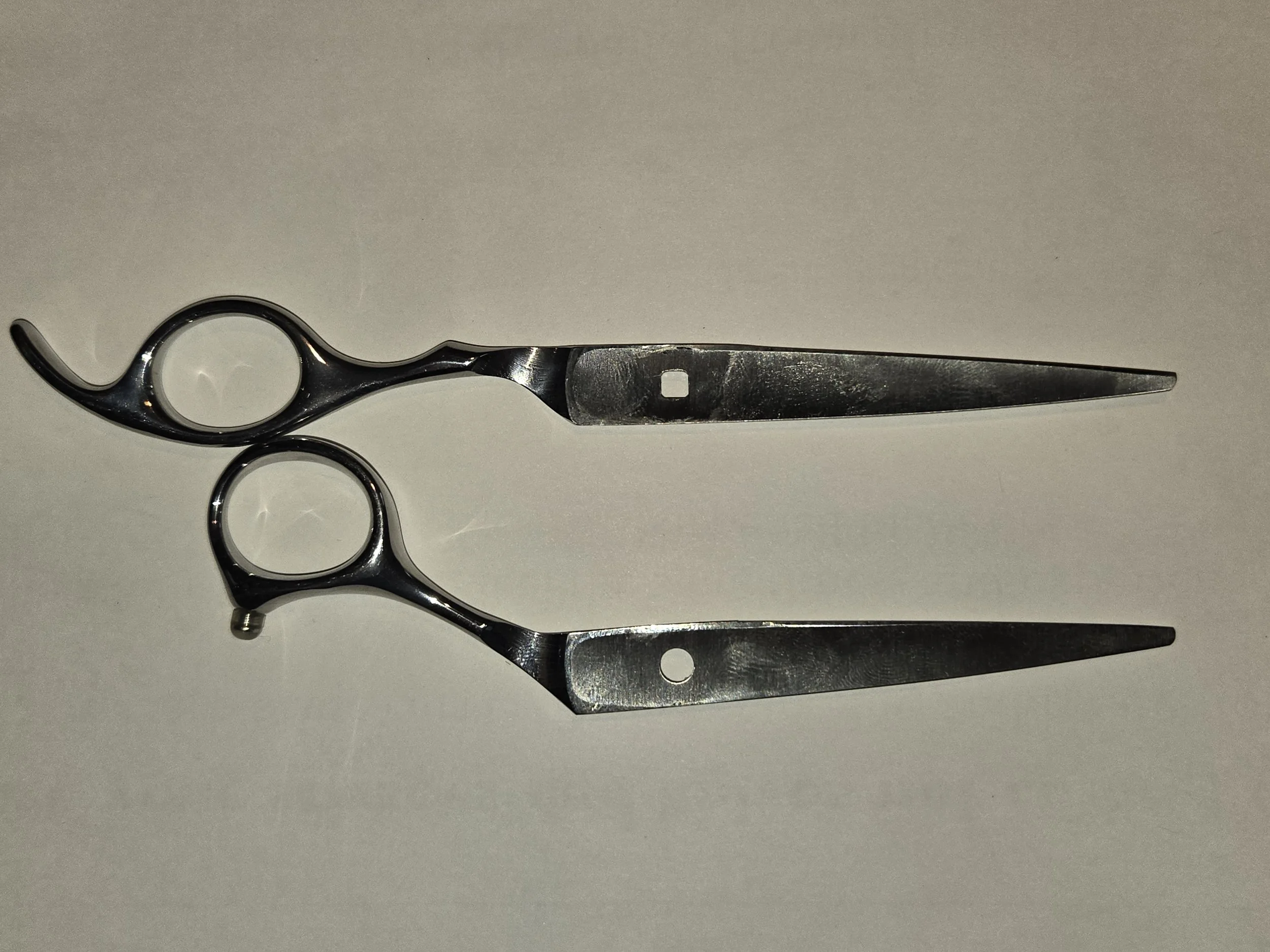 Professional hair cutting scissors/shears disassembled for sharpening.