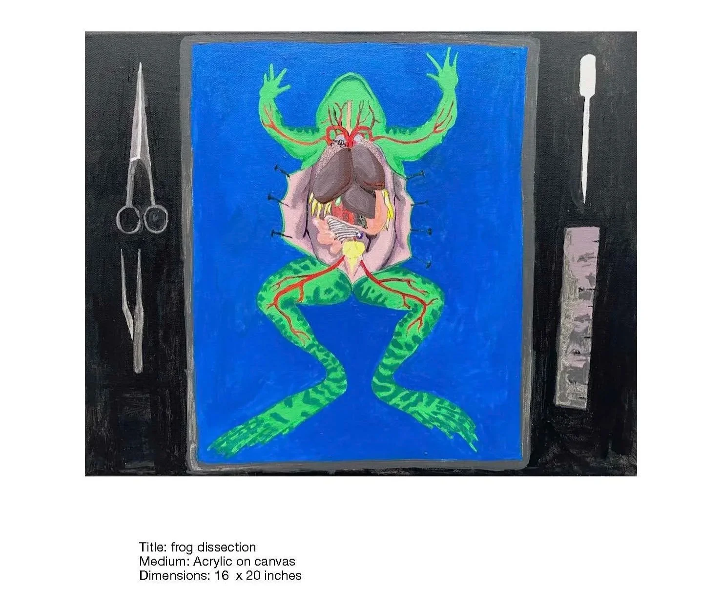 frogDissection.jpg