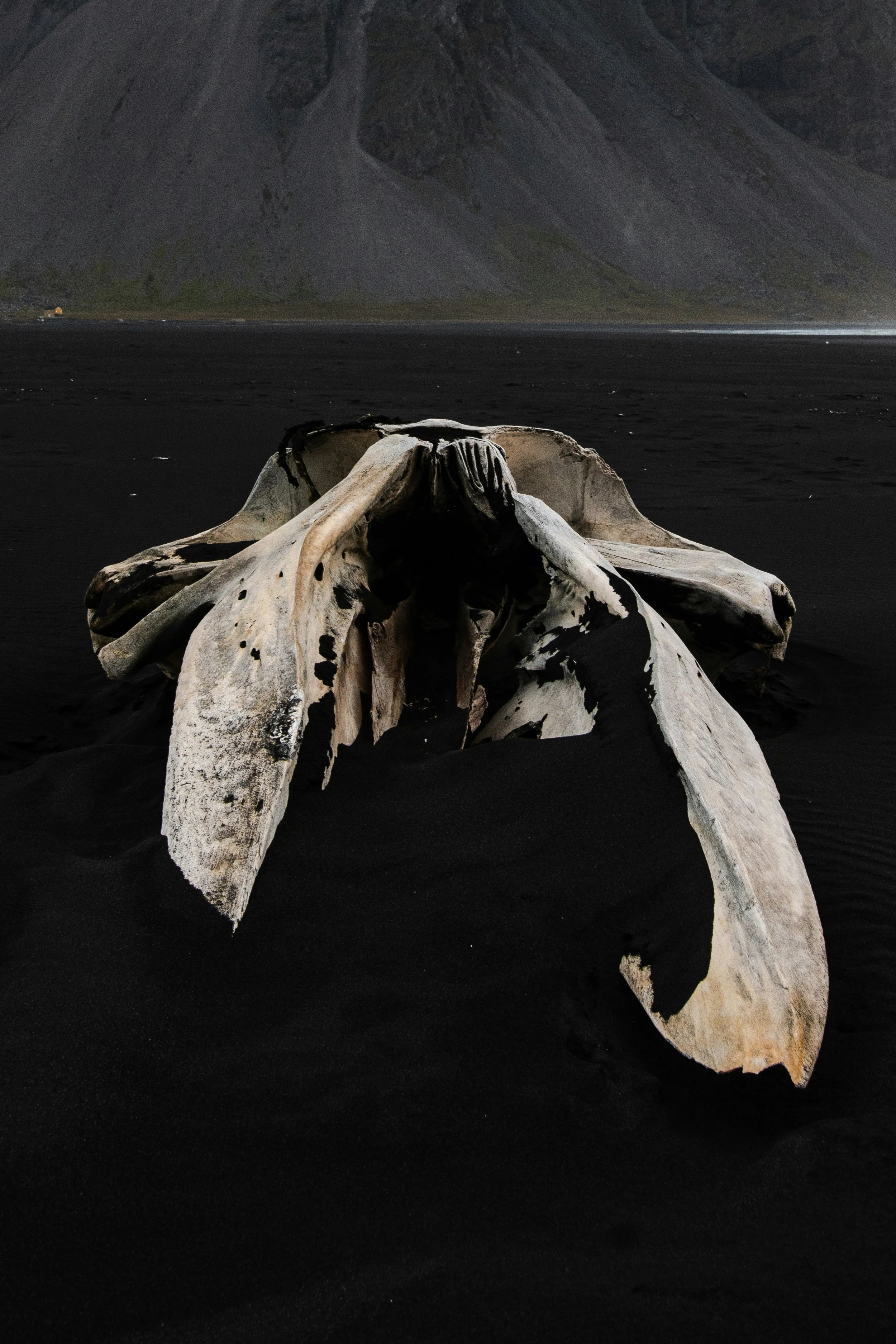 the buoyancy of Bone