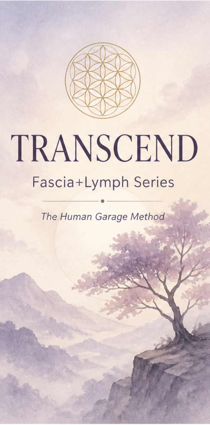 TRANSCEND Fascia+Lymph Series - 12 Week Class Pass