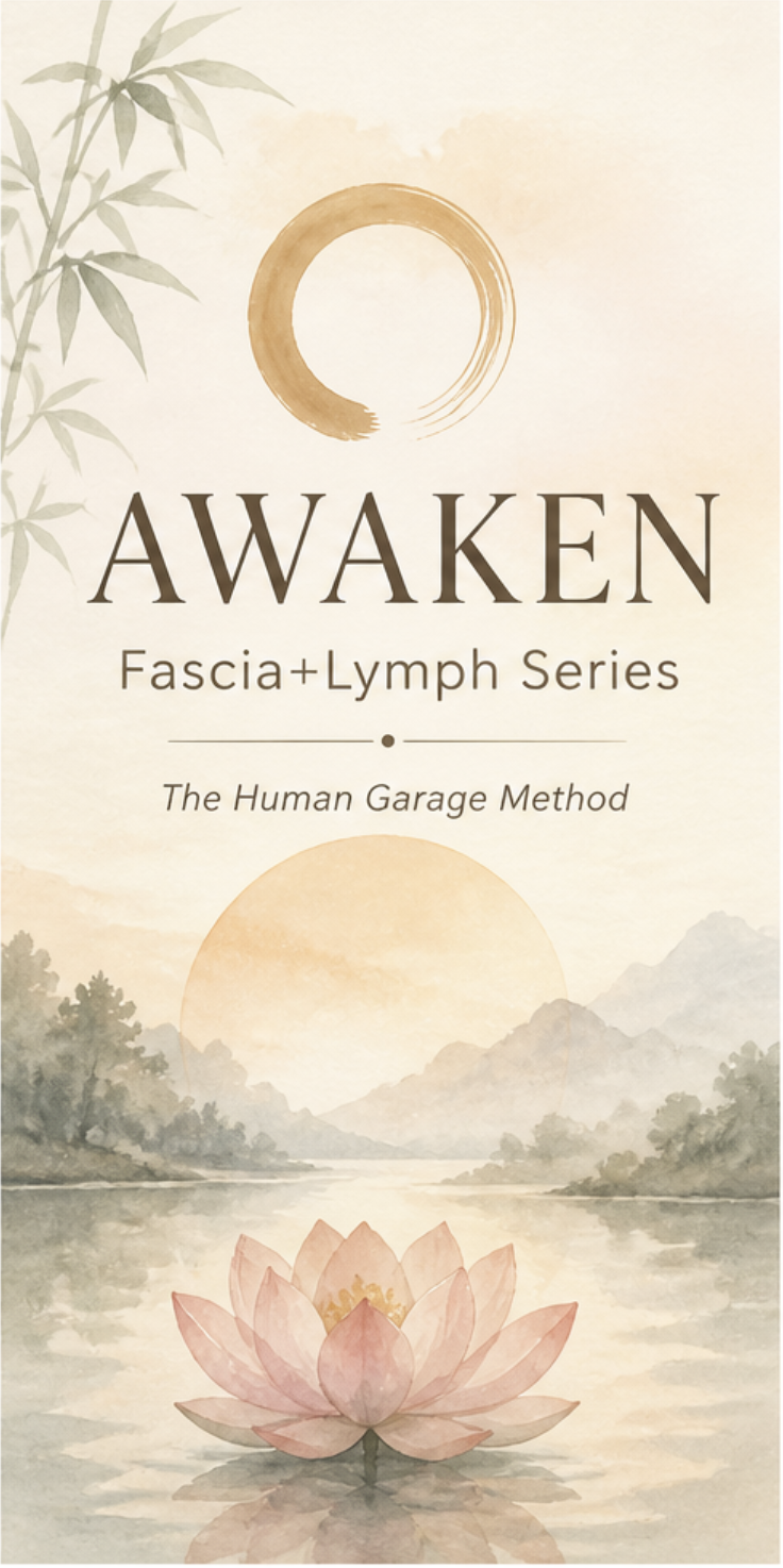 AWAKEN Fascia+Lymph Series -  4 Week Class Pass