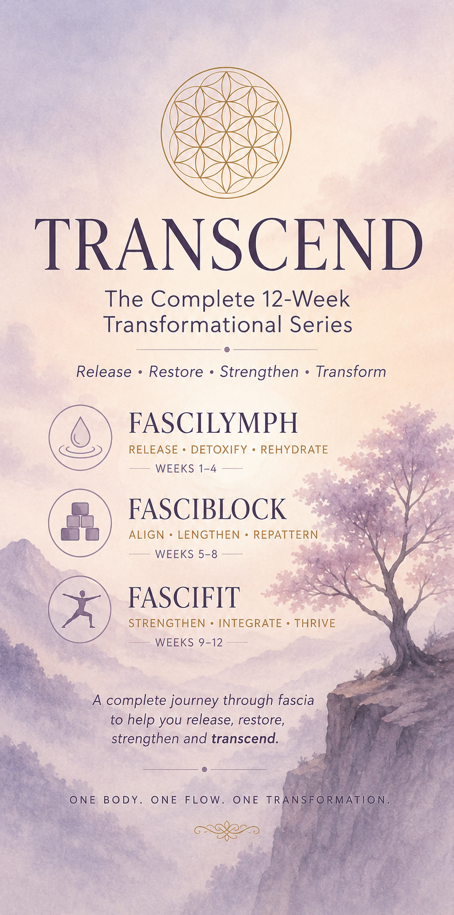 TRANSCEND SERIES - Wednesdays 7:30-8:30PM - 12 week series