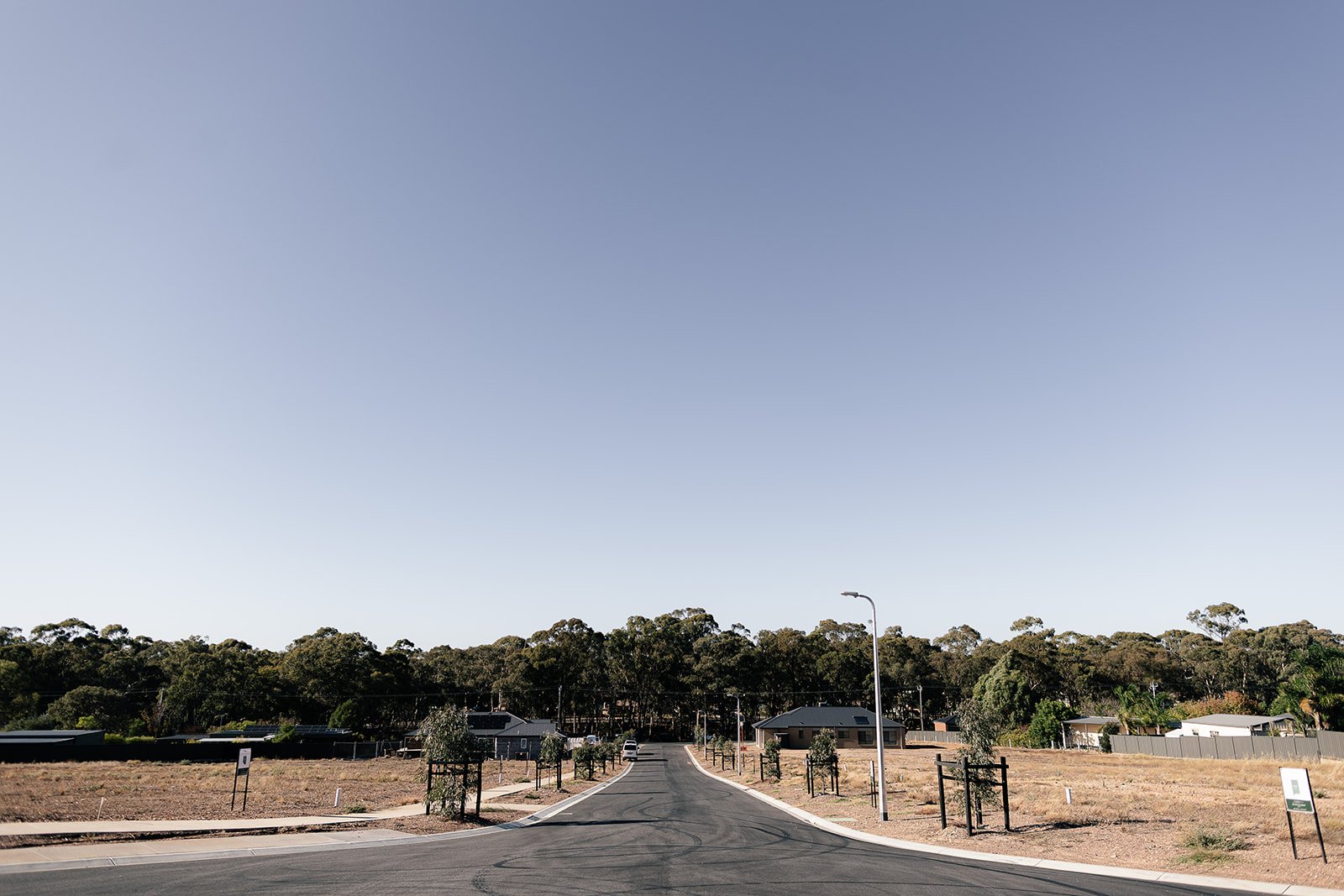 Residential street with empty lots and houses, surrounded by trees under a clear blue sky.