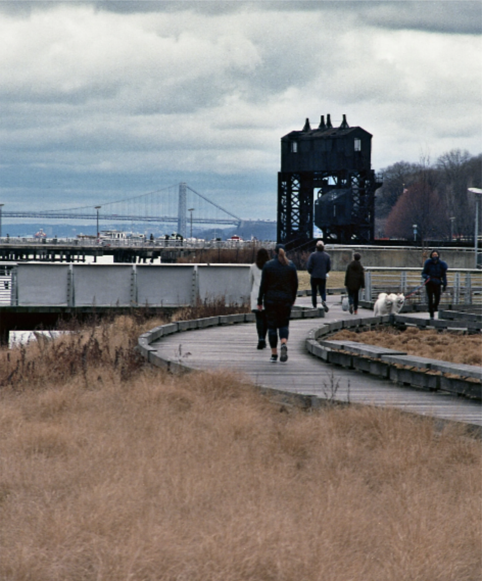 MONTE D MONTELEAGRE WORK SAMPLES 6.png