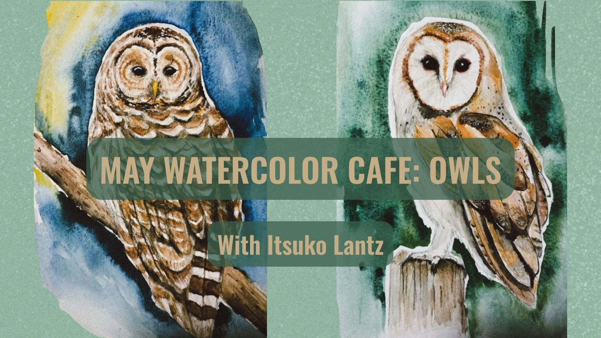 MAY WATERCOLOR CAFE: OWLS