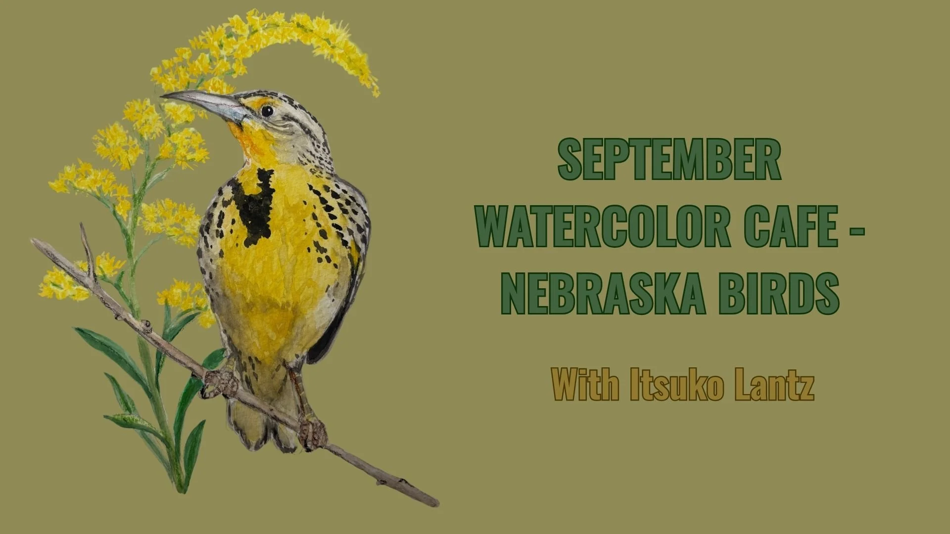 SEPTEMBER WATERCOLOR CAFE - NEBRASKA BIRDS