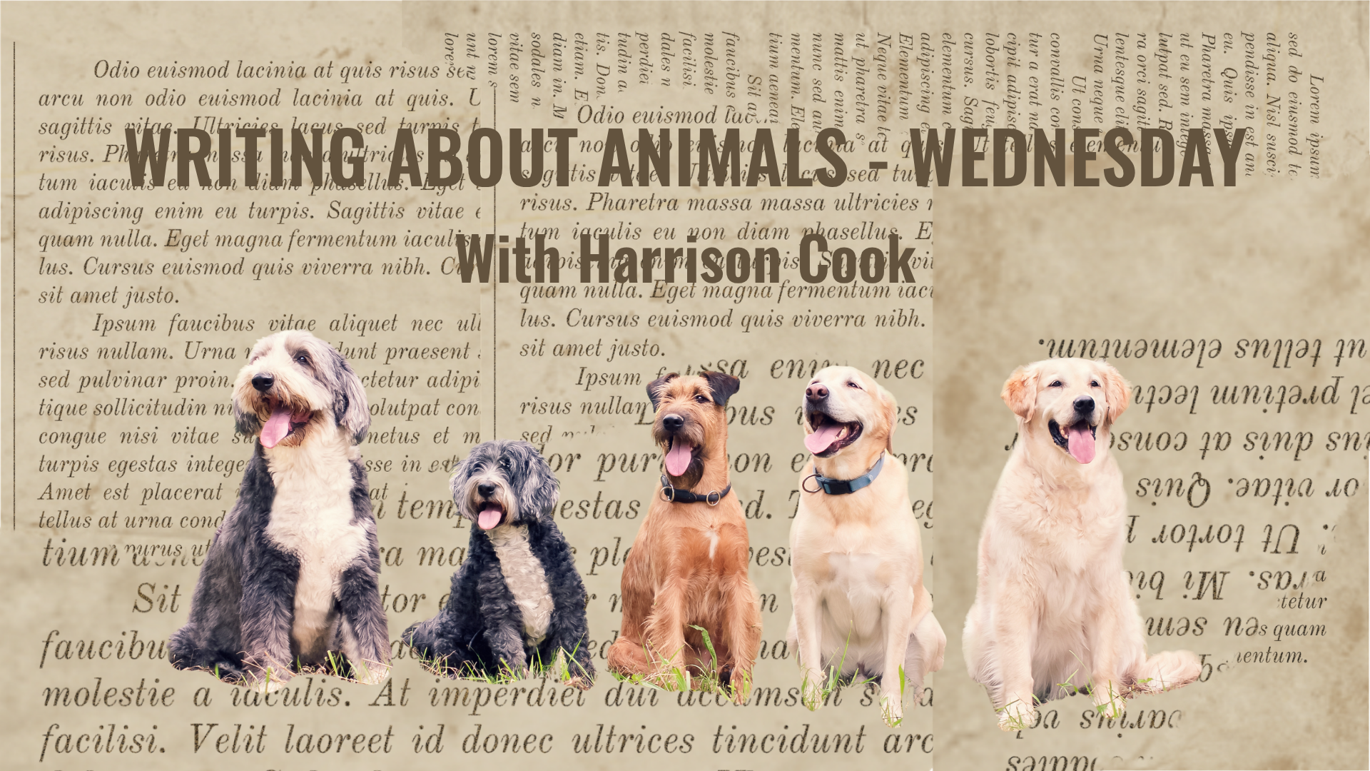 WRITING ABOUT ANIMALS - WEDNESDAY