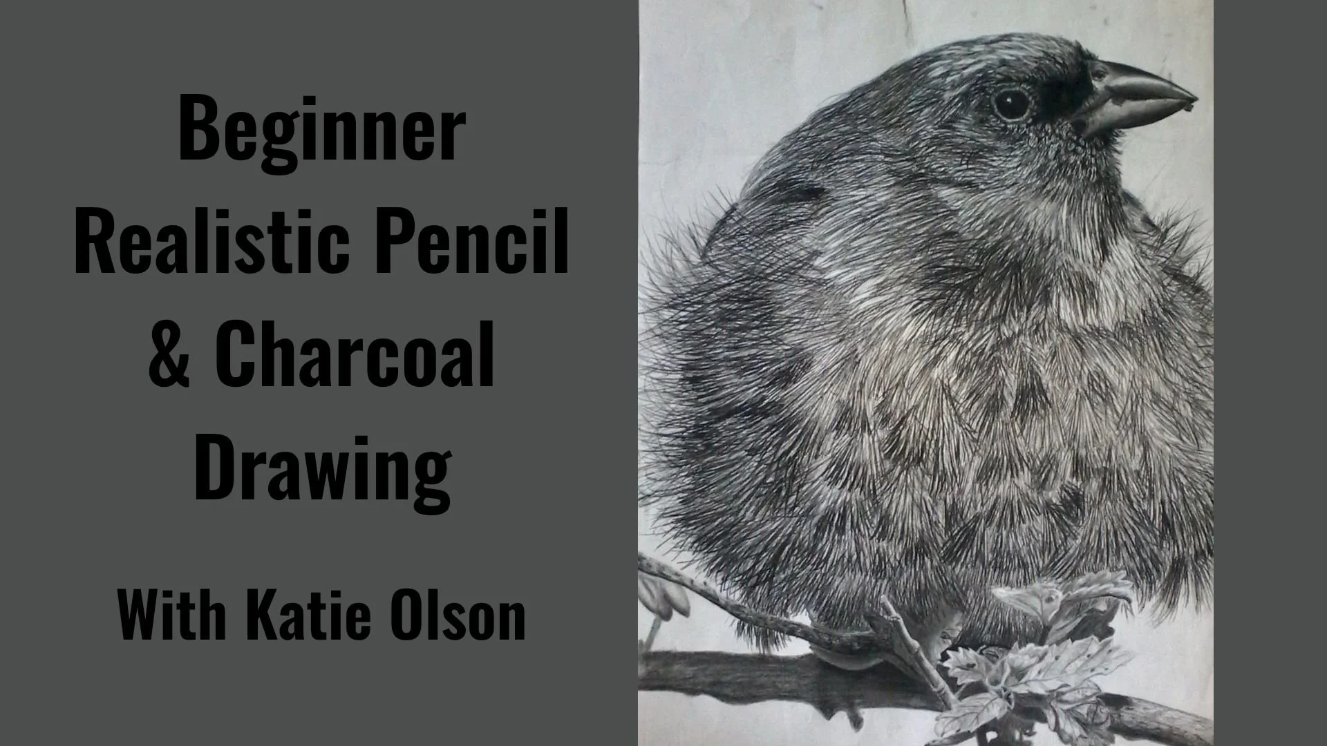 Beginner Realistic Pencil &amp; Charcoal Drawing