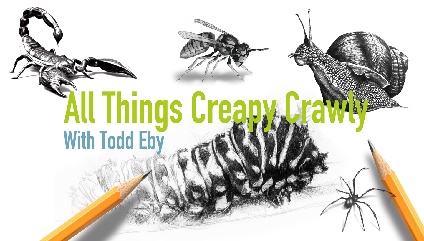ALL THINGS CREEPY CRAWLY