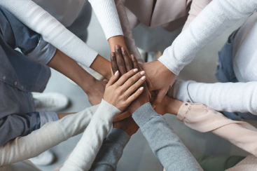 Group Mentorship (Payment Plan Option 2)