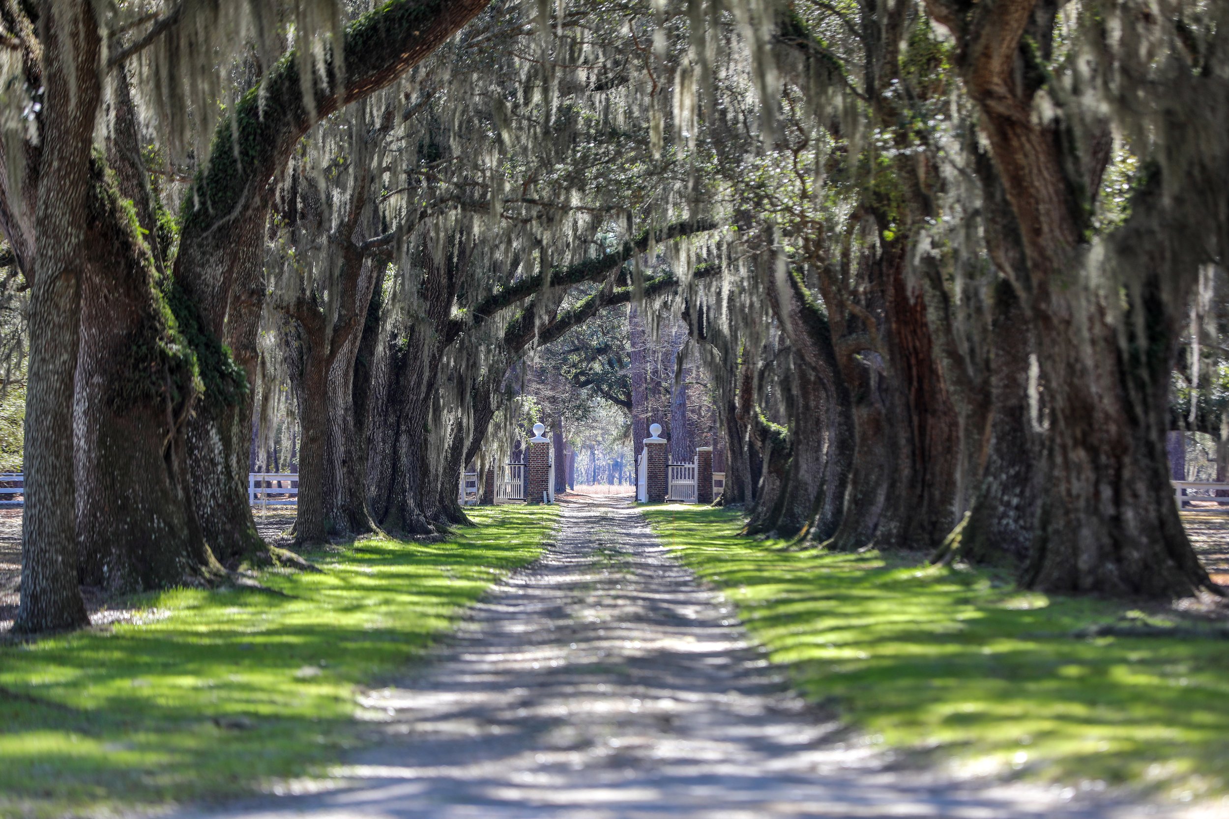 Chelsea_Main House_catEdit1.jpeg