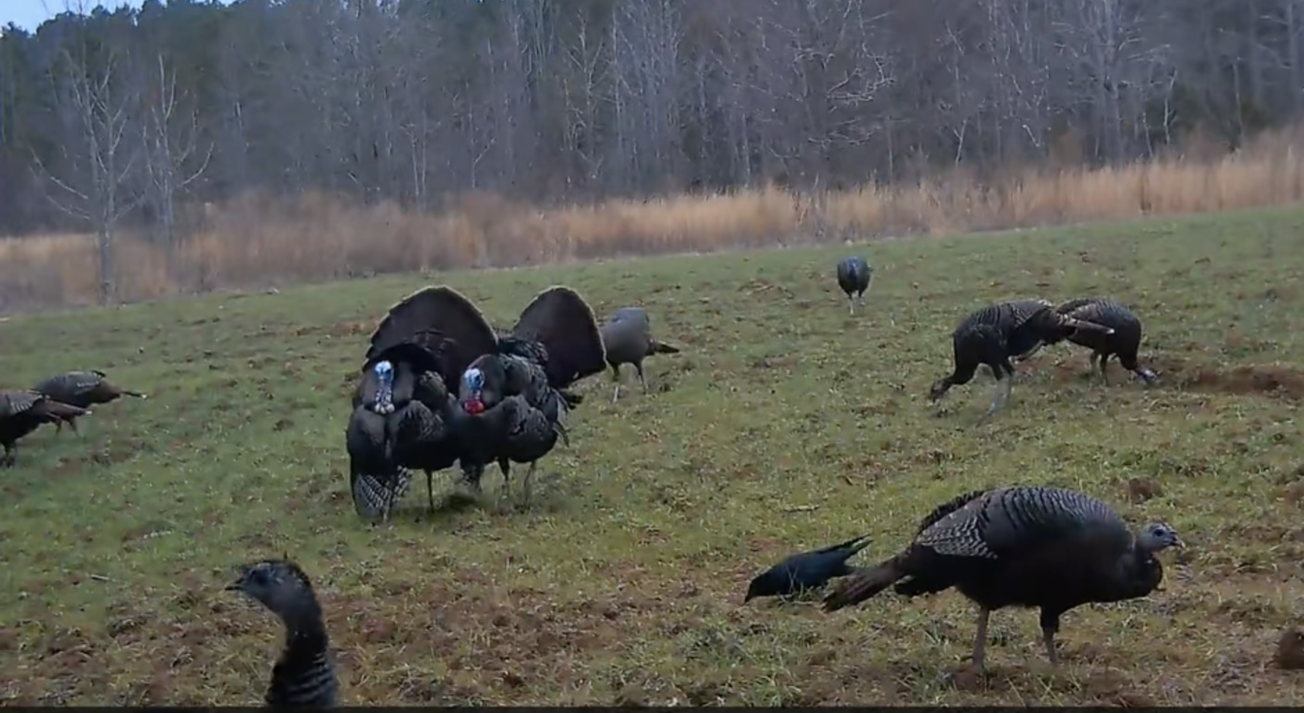 Screenshot 2026-03-10 at 11.14.48 AM.png