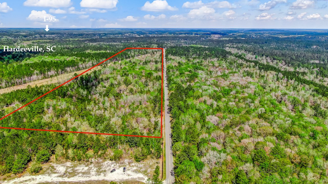 Pine-Arbor-NW-Parcel-41.5-Acres-SMALL.jpeg