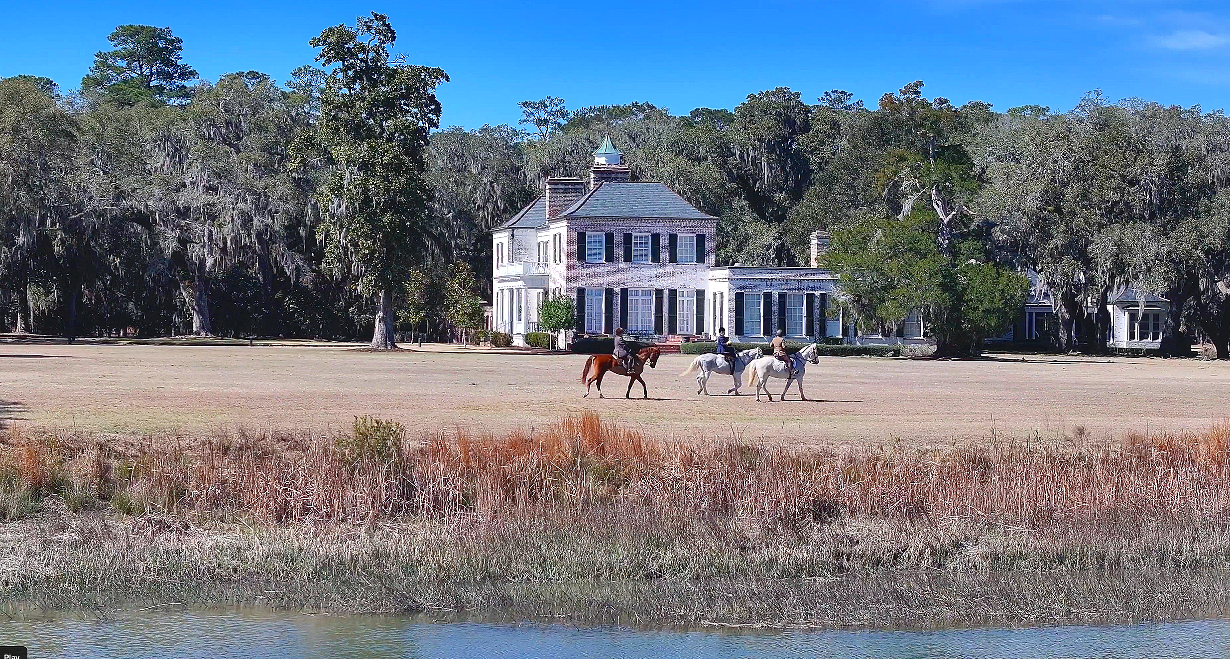Horse+Chelsea.png