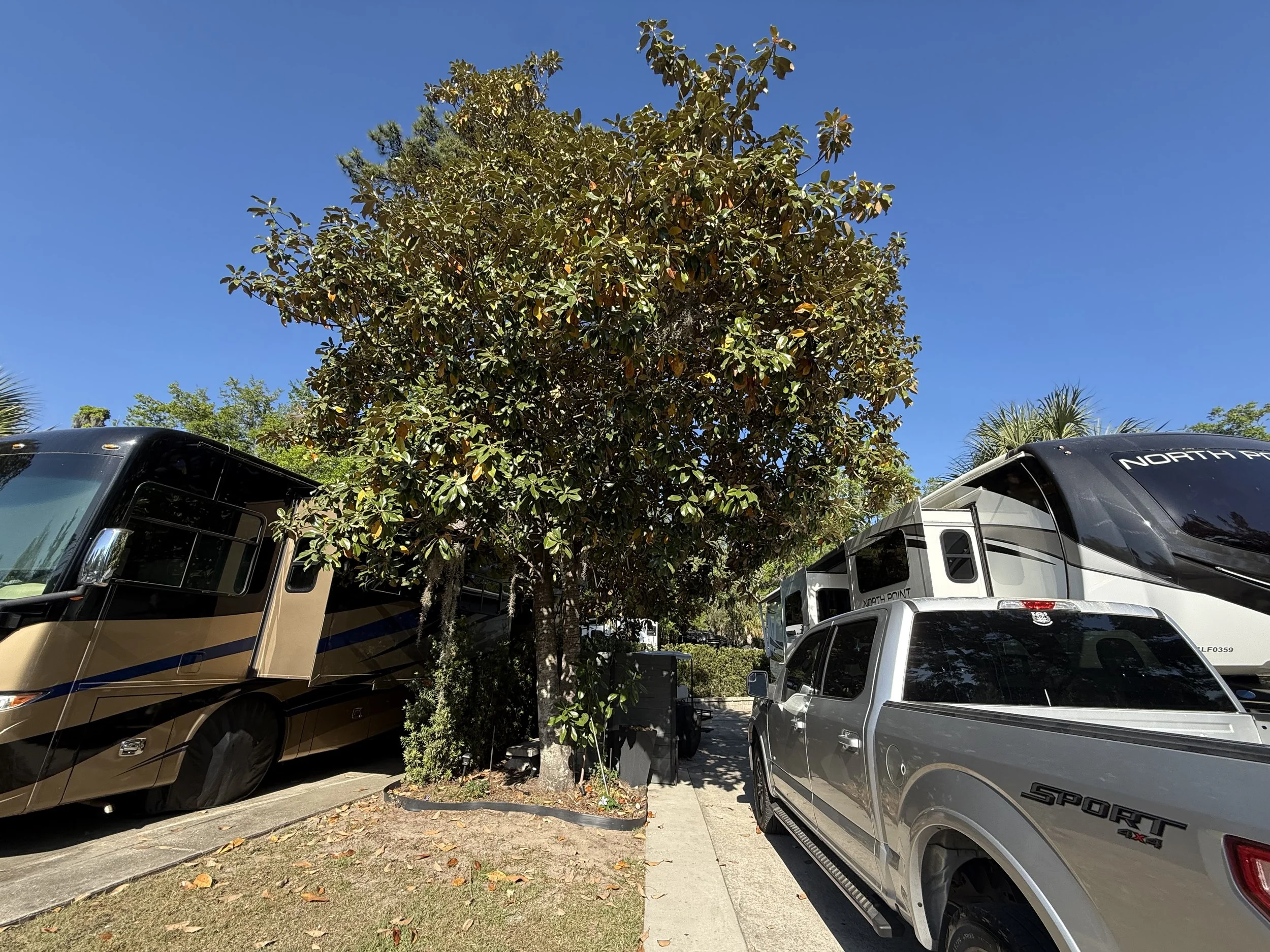 Lot 129 Cat HHI RV Resort00010.jpeg