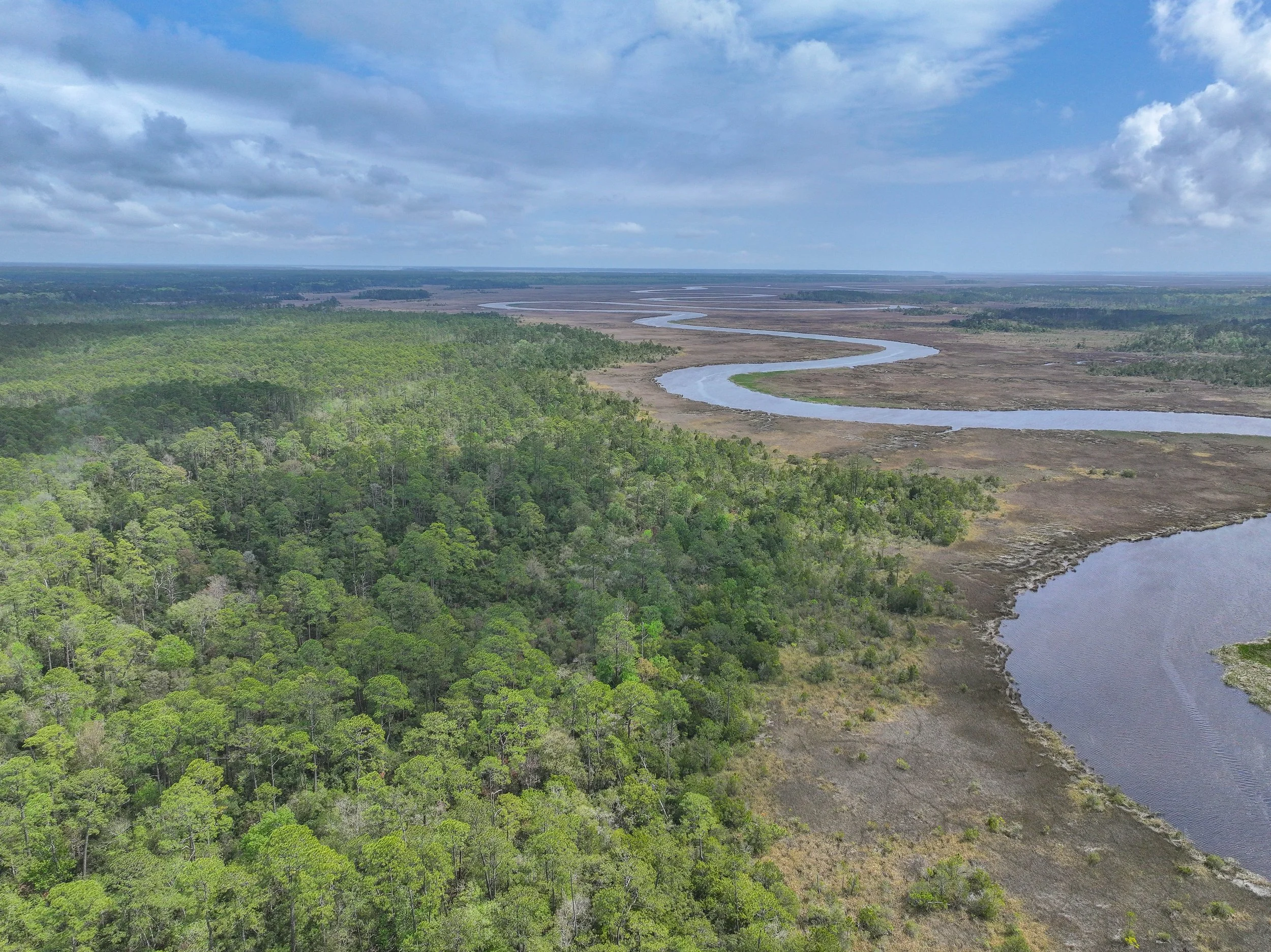 Ricefield Bluff Plantation at Palmetto Bluff 
