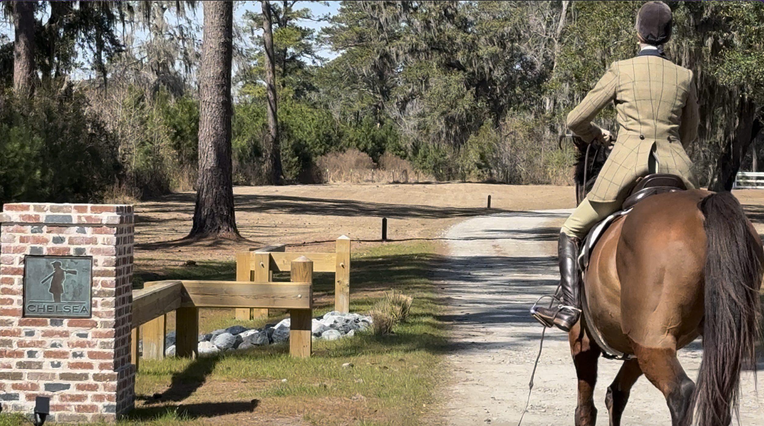 Liz Horse Chelsea.png