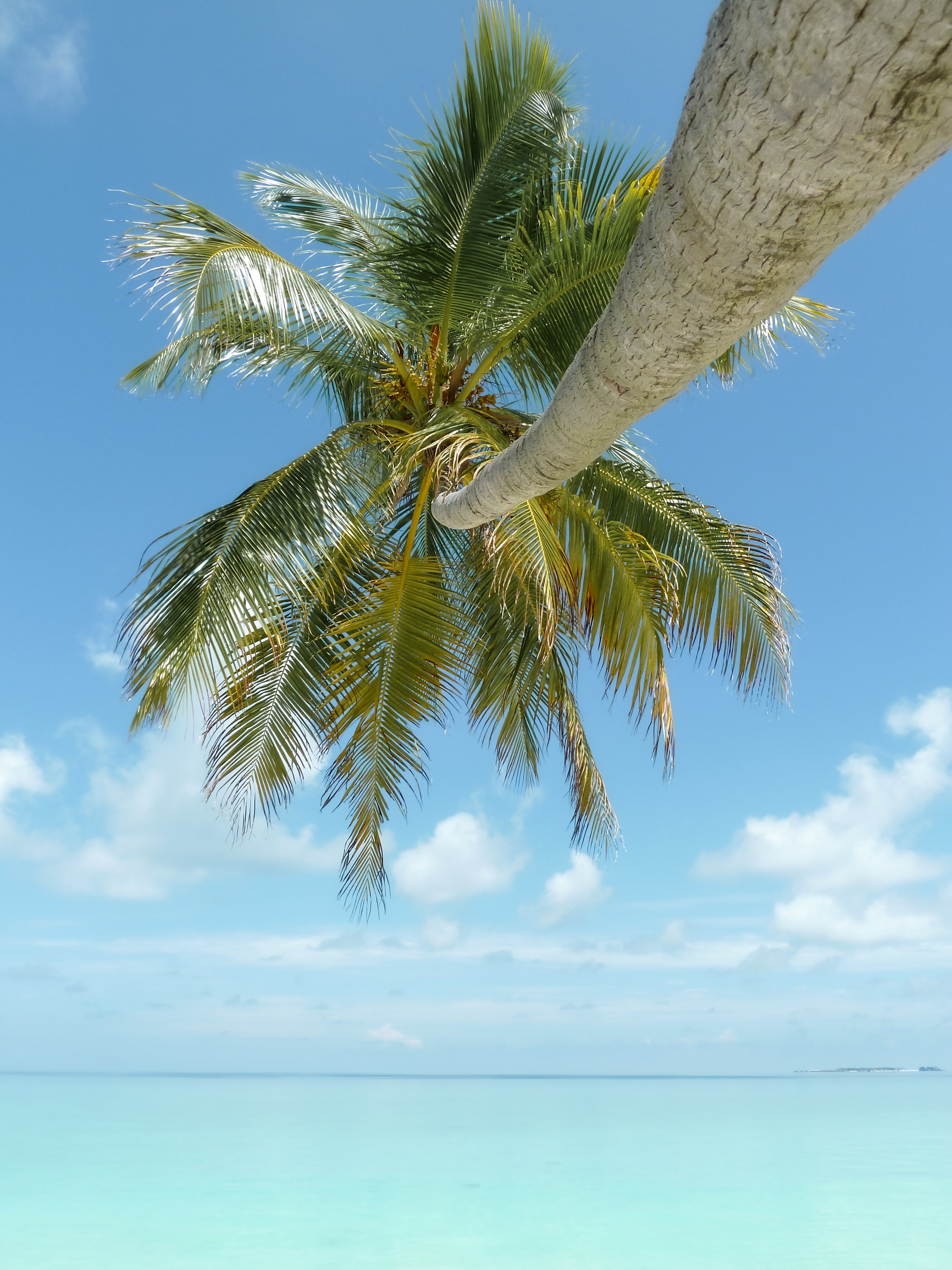Tulum Playa del Carmen Cancun Riviera Maya Maternity Photographer