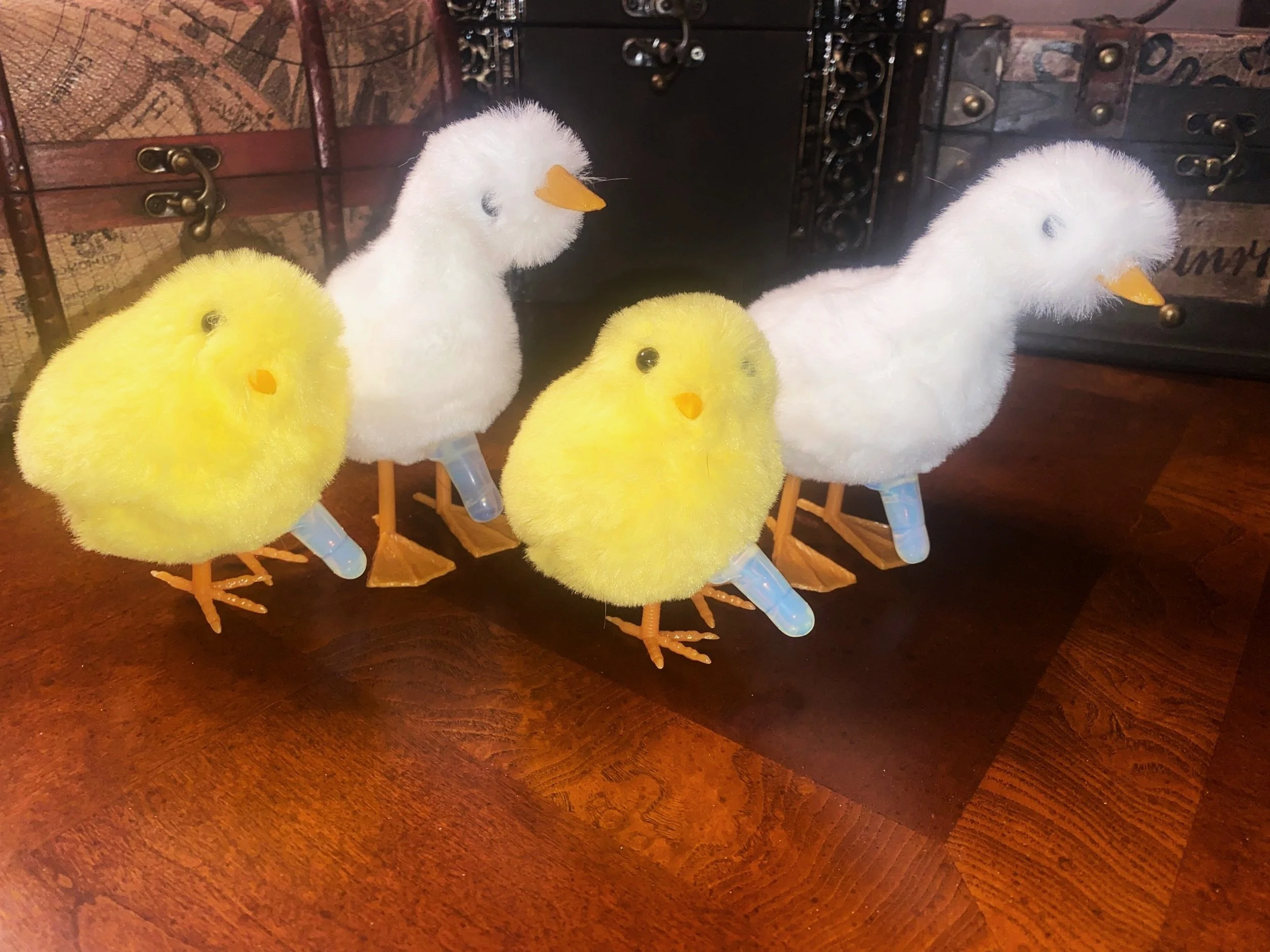 April 2026-DICK, Duck, Goose!