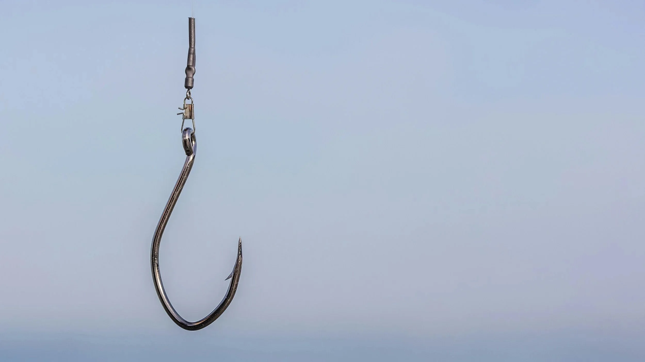 Hook?