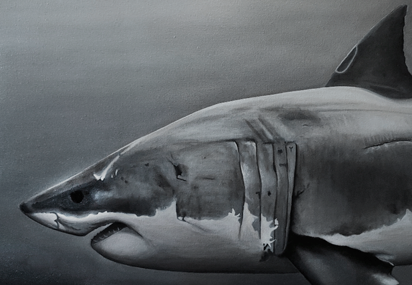 Shark - Oil on Canvas, 36” x 24” 2022