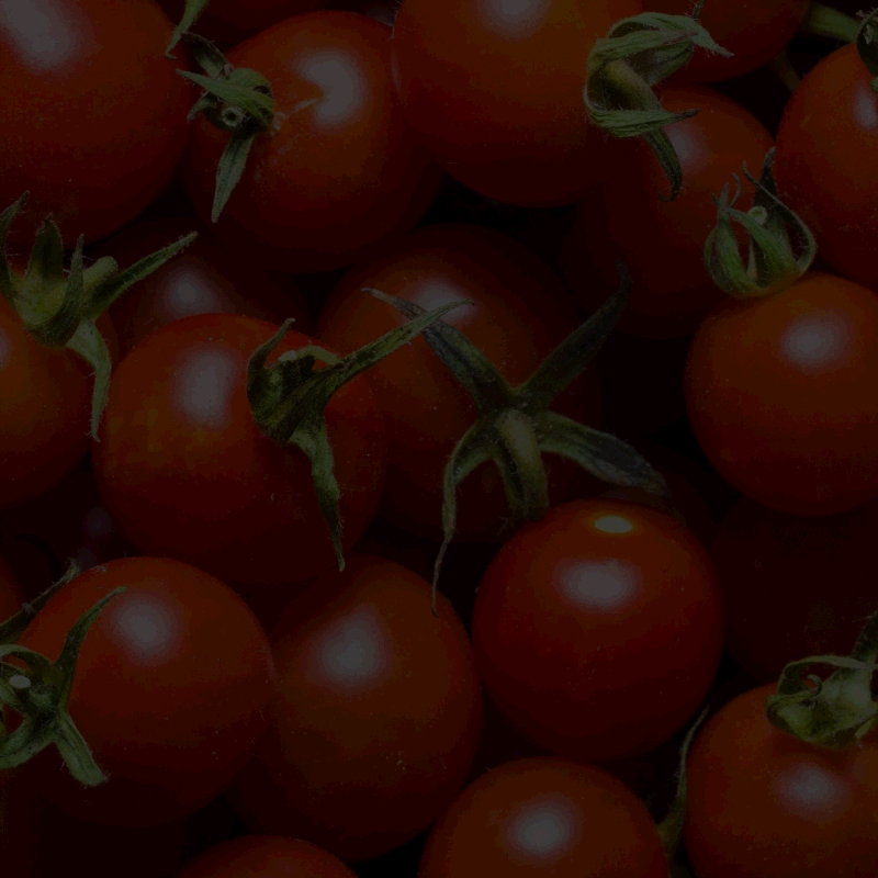 Tomates cherry rojos apilados.