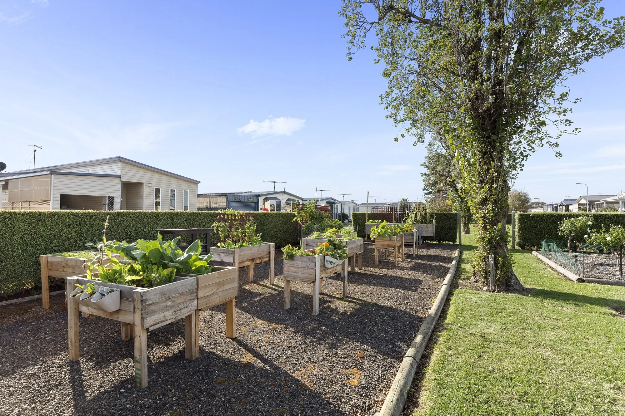010_Open2view_ID879779-300_Clifton_Avenue.jpg