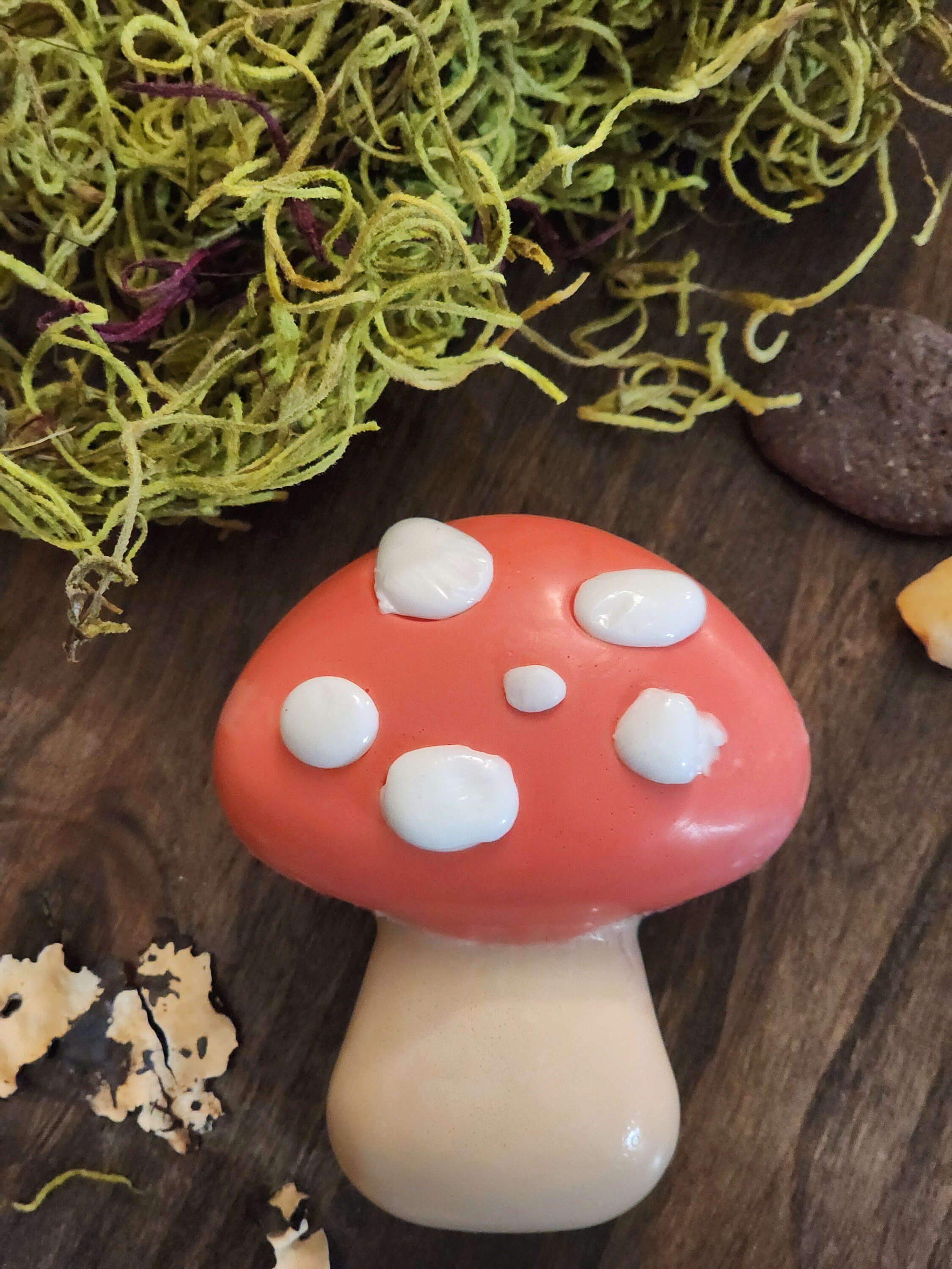 https://i.etsystatic.com/20711128/r/il/faa00c/5693596206/il_fullxfull.5693596206_dfeq.jpg