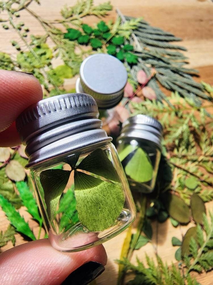 https://i.etsystatic.com/20711128/r/il/0da32b/4675597649/il_fullxfull.4675597649_6d5o.jpg