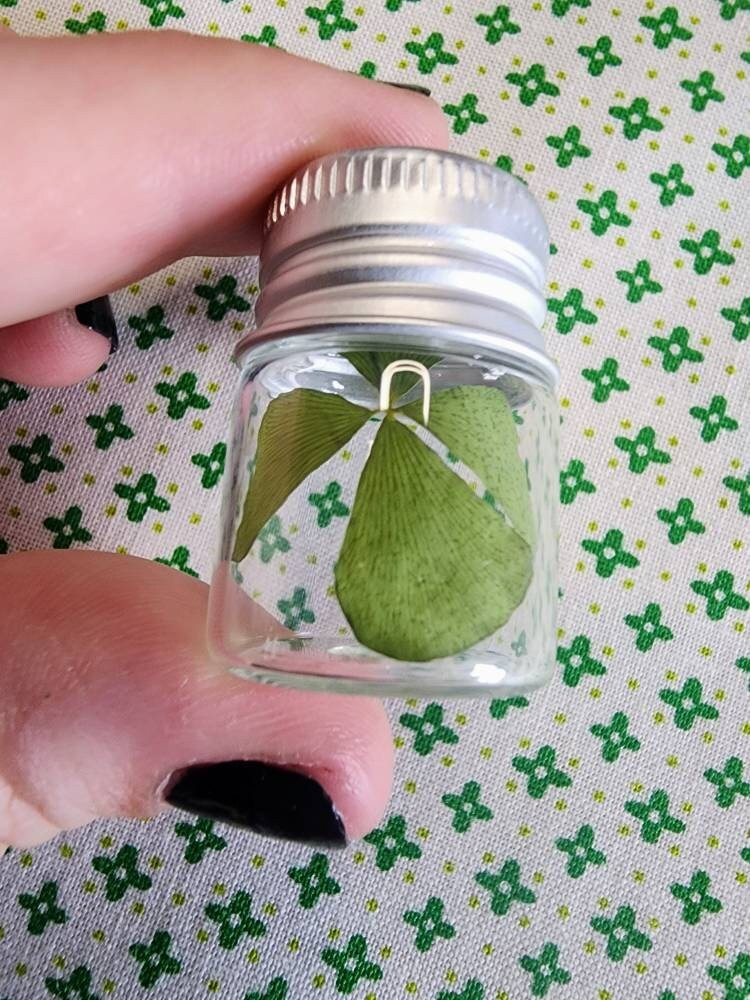https://i.etsystatic.com/20711128/r/il/e51e2c/4675597419/il_fullxfull.4675597419_7ozz.jpg