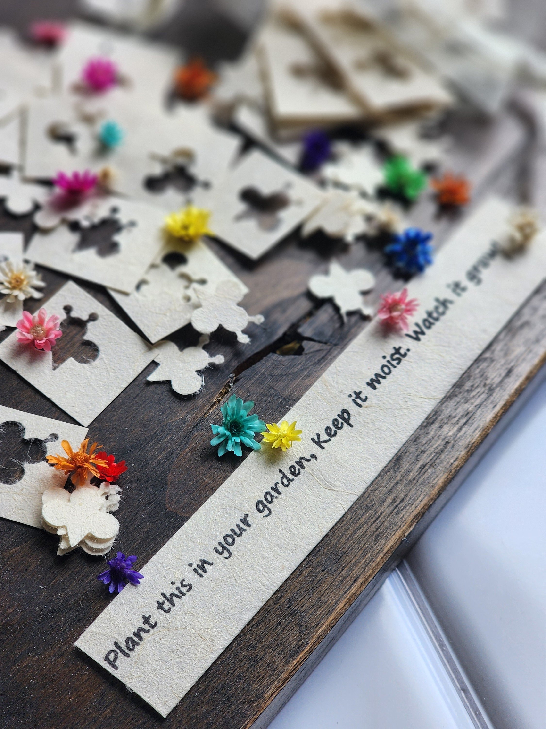 https://i.etsystatic.com/20711128/r/il/1e6a51/6083985477/il_fullxfull.6083985477_jy80.jpg