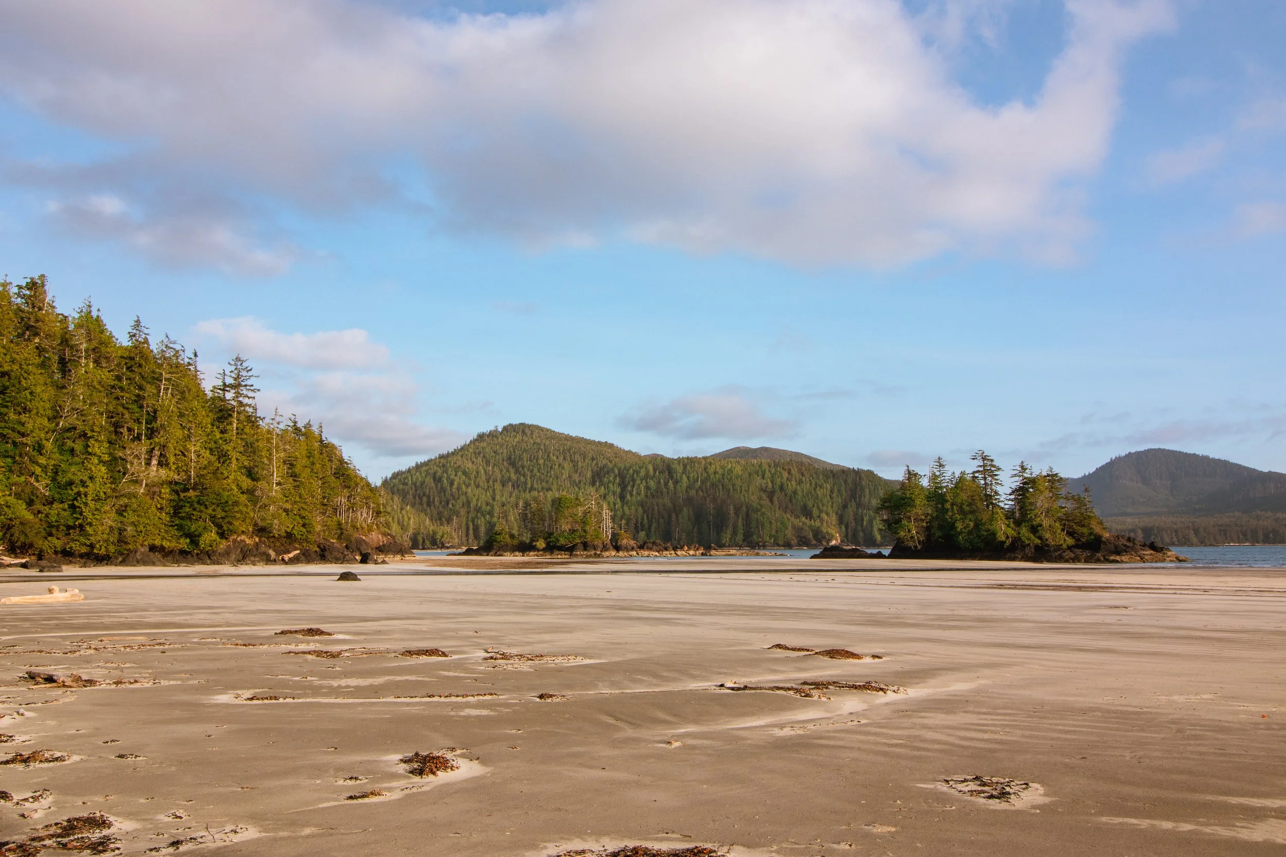 A sandy beach with patches of seaweed in the foreground, a calm body of water, and forested islands and hills in the background under a partly cloudy sky.