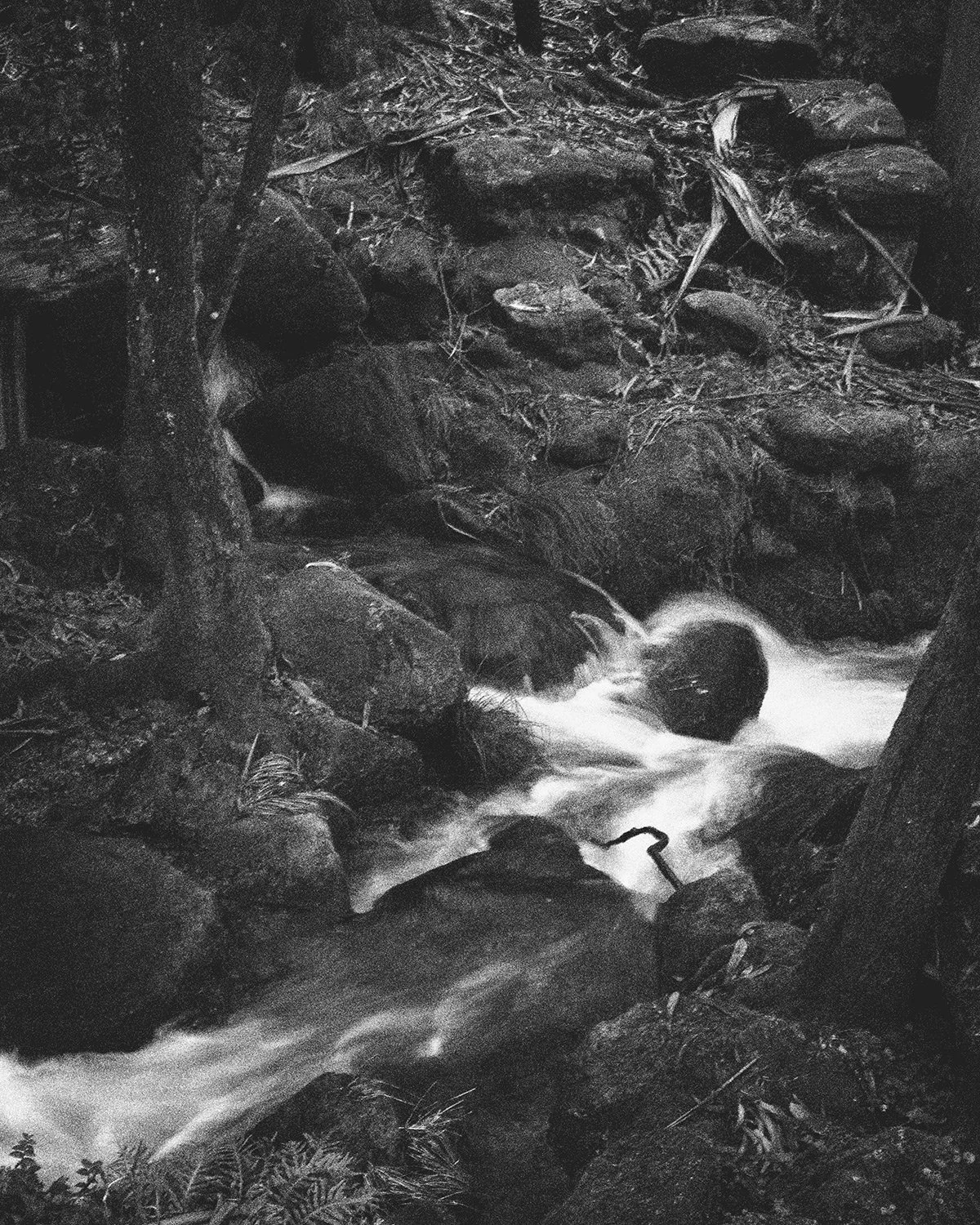 Black and white landscape and nature photography