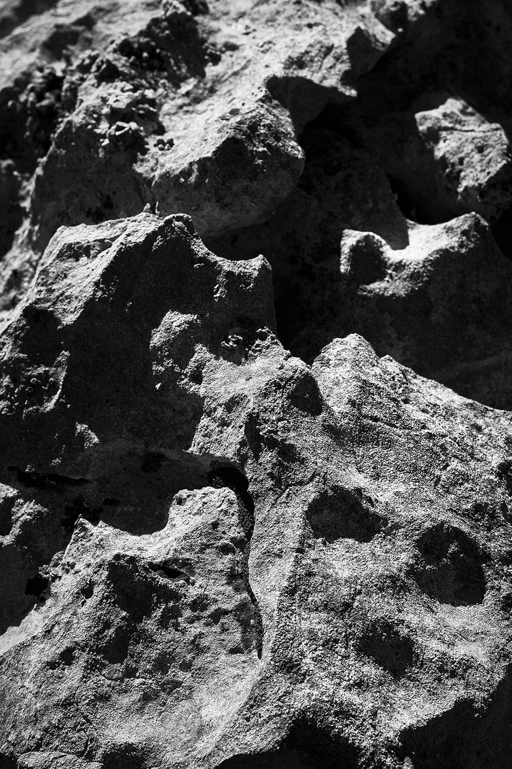 Rock pareidolia skull 