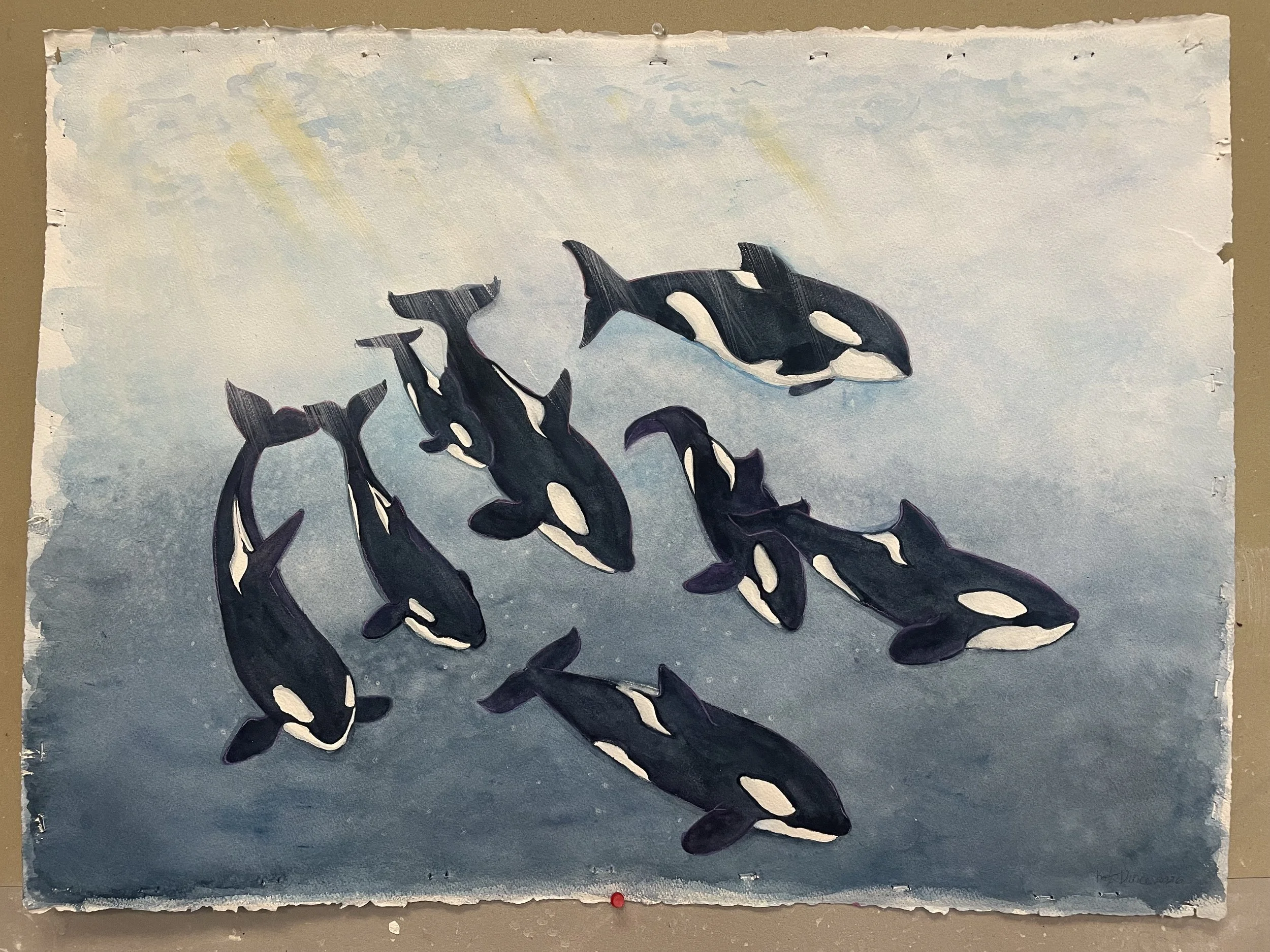 orcas.jpeg