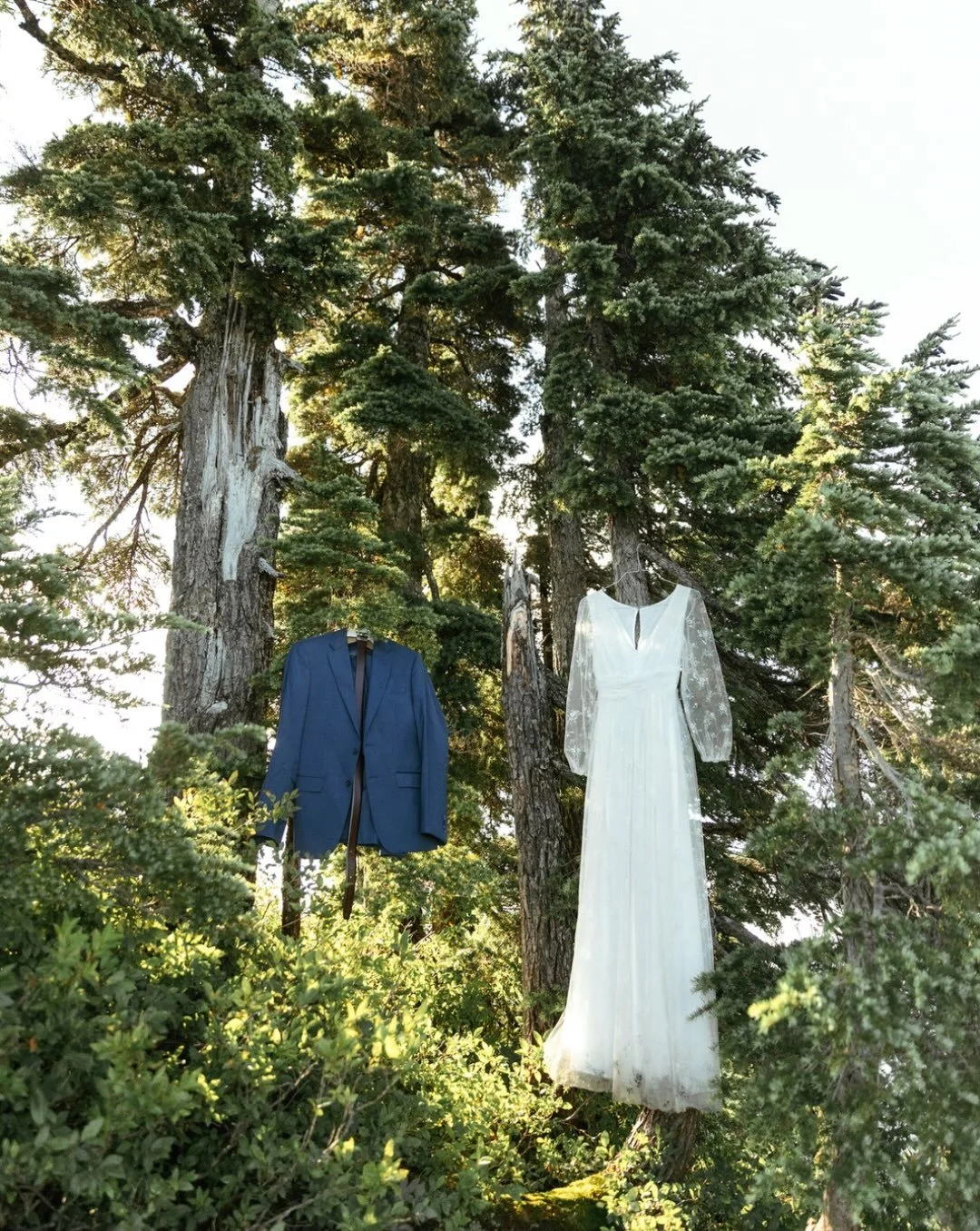There&rsquo;s a very beautiful and simple elegance to this detail shot that I love. But, let me tell ya, it was NOT simple to get the suit and dress to hang effortlessly in these trees 😂. Swipe right ➡️ to see the GORGEOUS couple that owns the whims