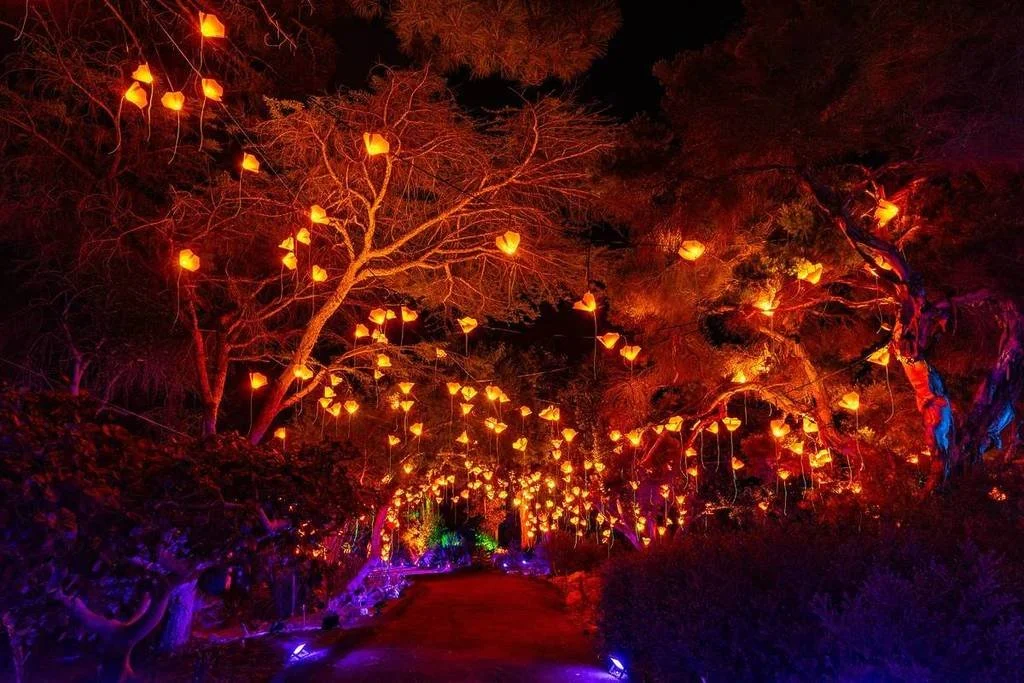 + San Diego Botanic Garden Lightscape